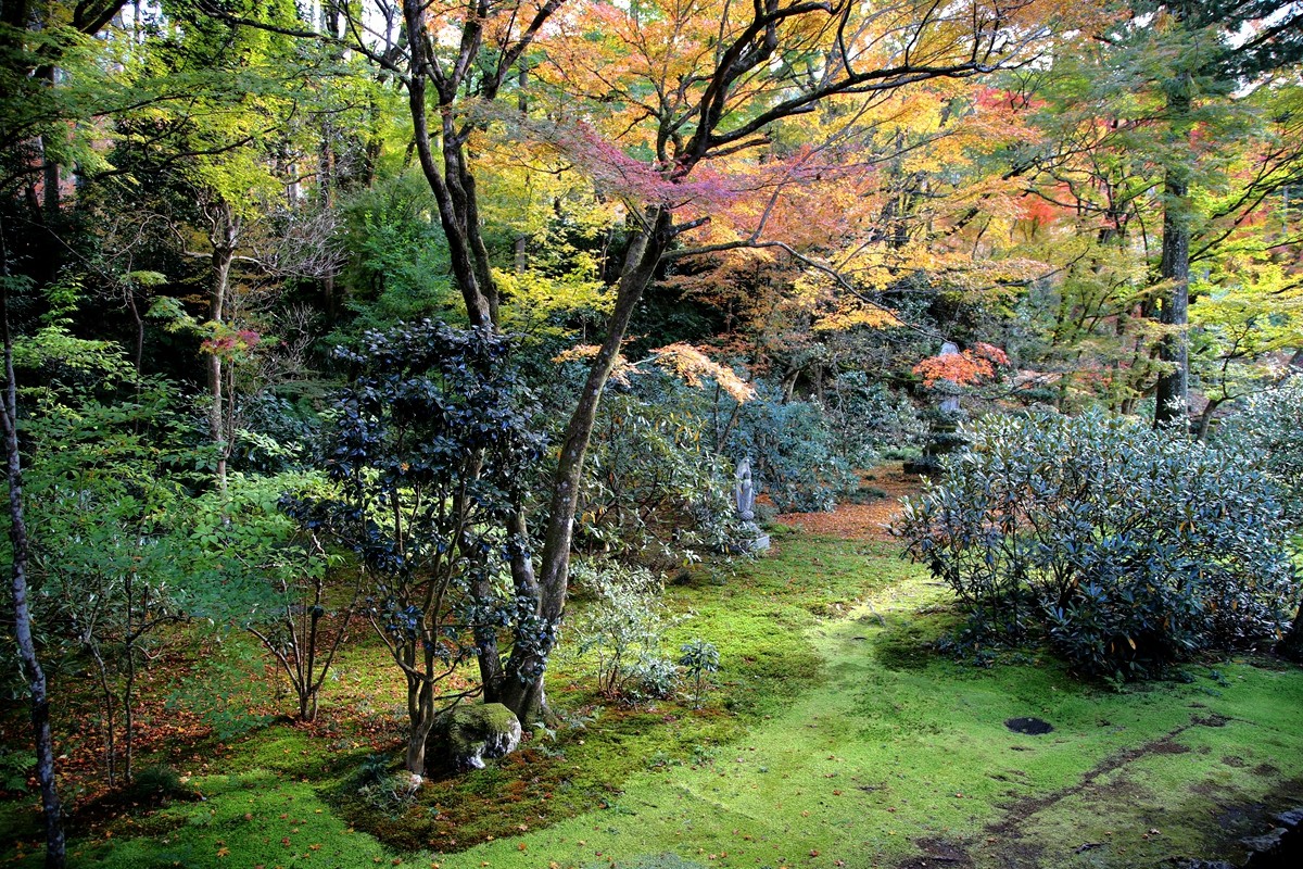 京都自助遊攻略