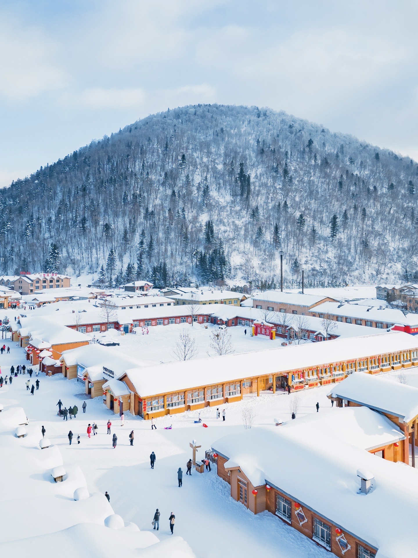 去北国冬季奔赴一场浪漫雪景76哈尔滨亚布力雪乡5天4晚
