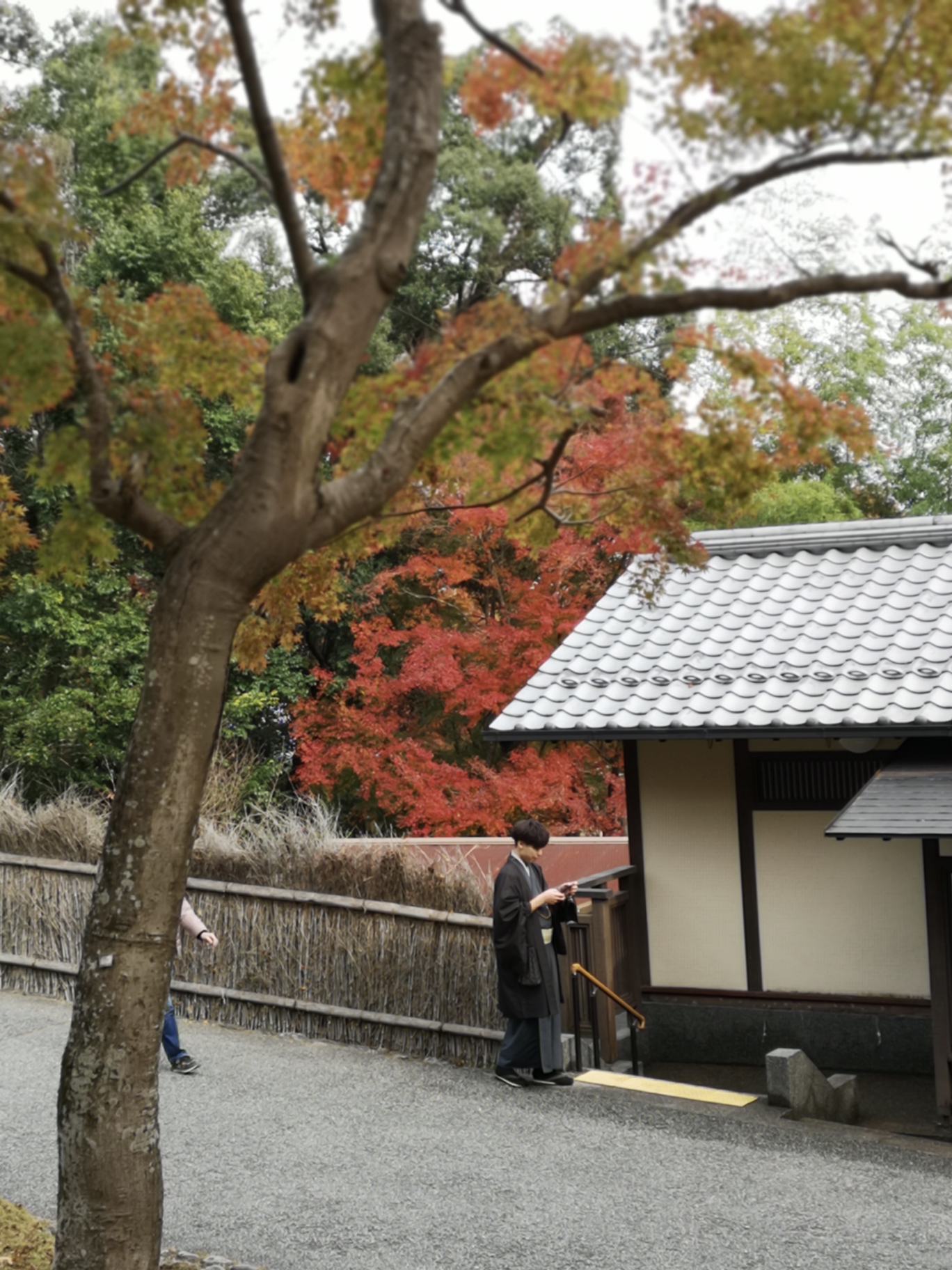 京都自助遊攻略