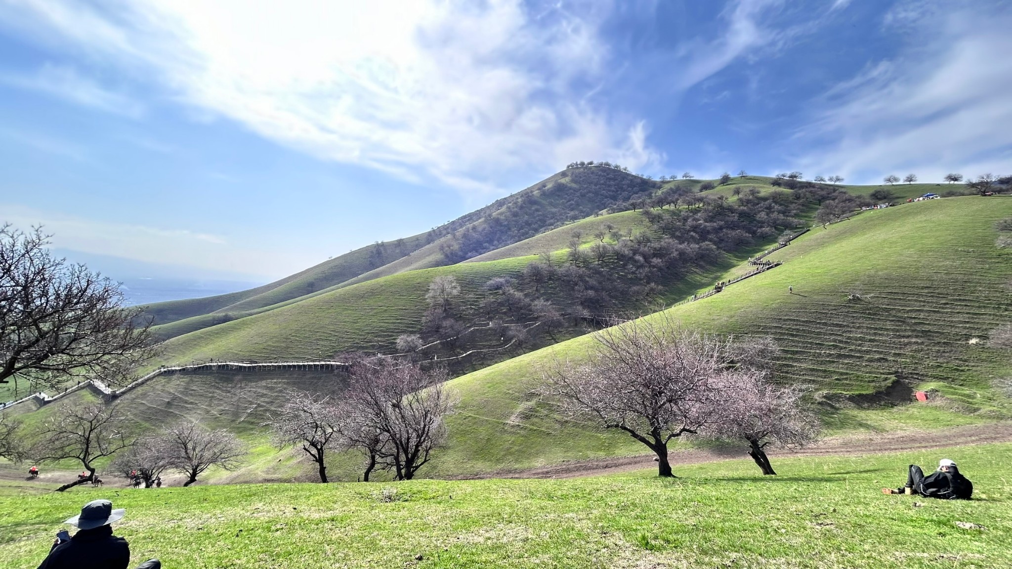 有惊喜也有遗憾的中华福寿山意外惊喜,s101-肯斯瓦特水库乌鲁木齐和田