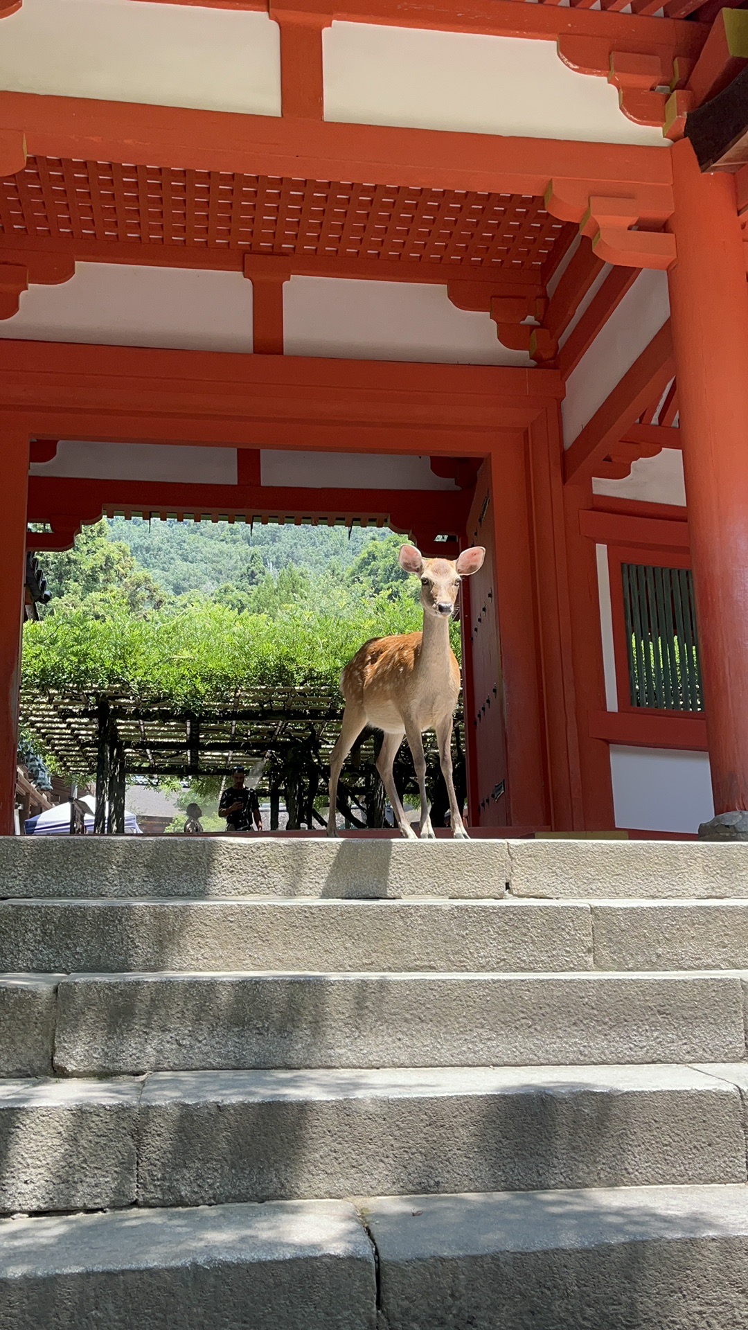 日本自助遊攻略