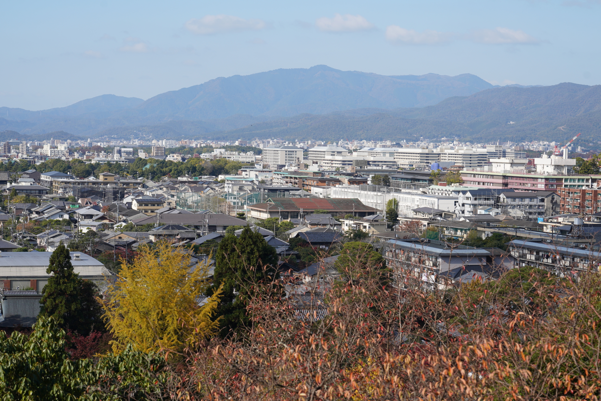 京都自助遊攻略