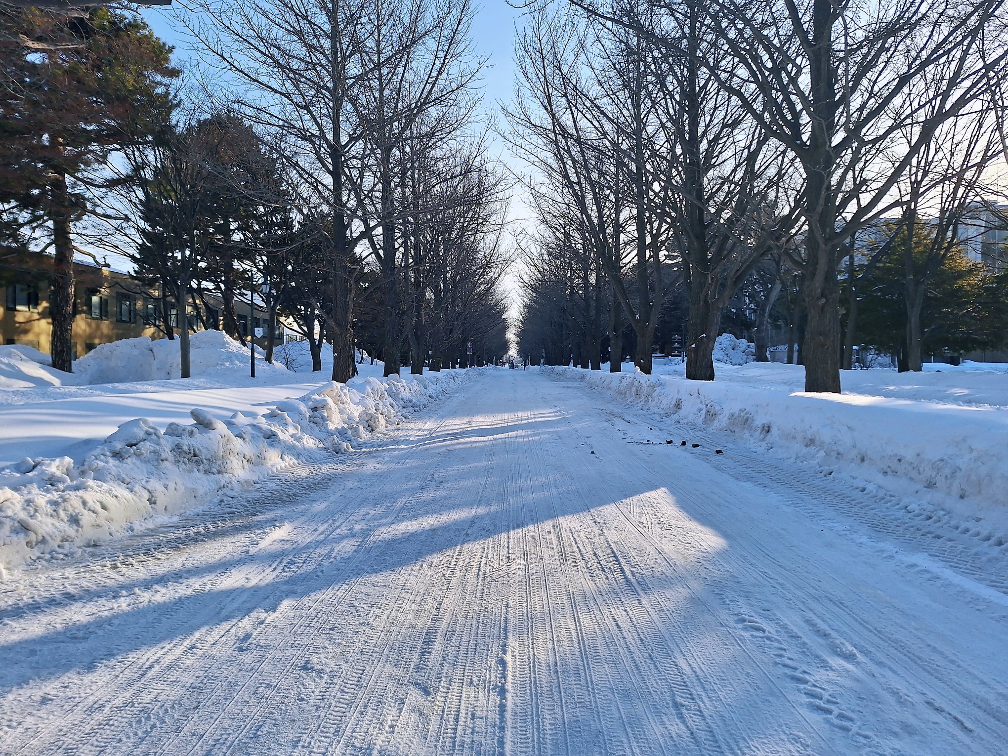 北海道自助遊攻略