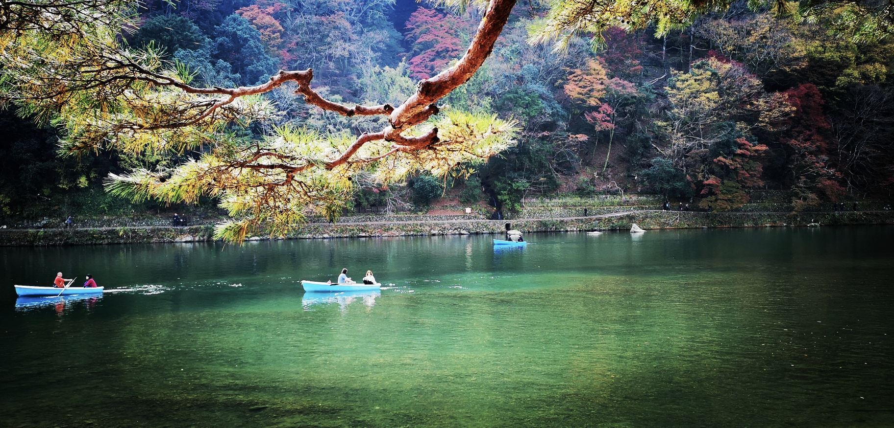 京都自助遊攻略