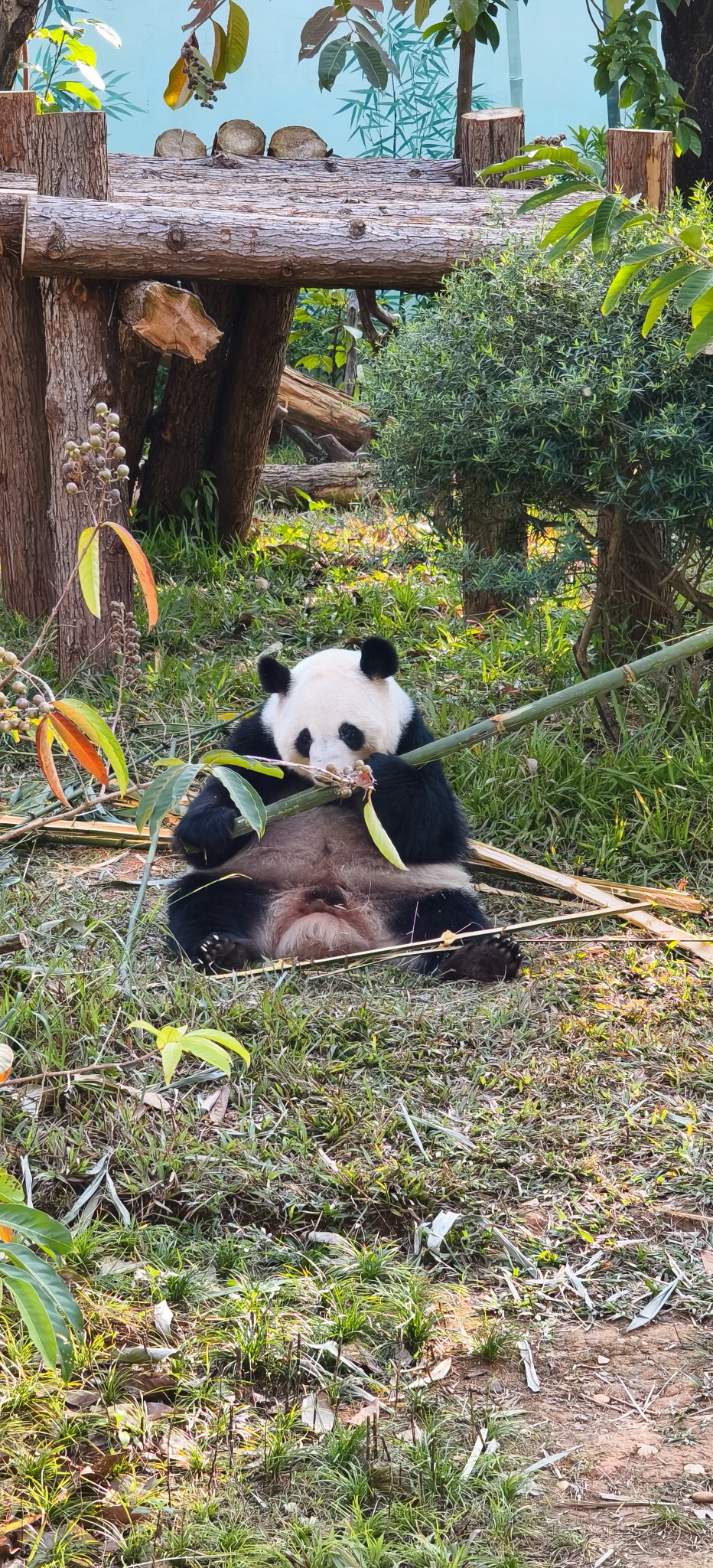 南寧動物園南寧動物園南寧動物園南寧動物園南寧動物園南寧動物園南寧