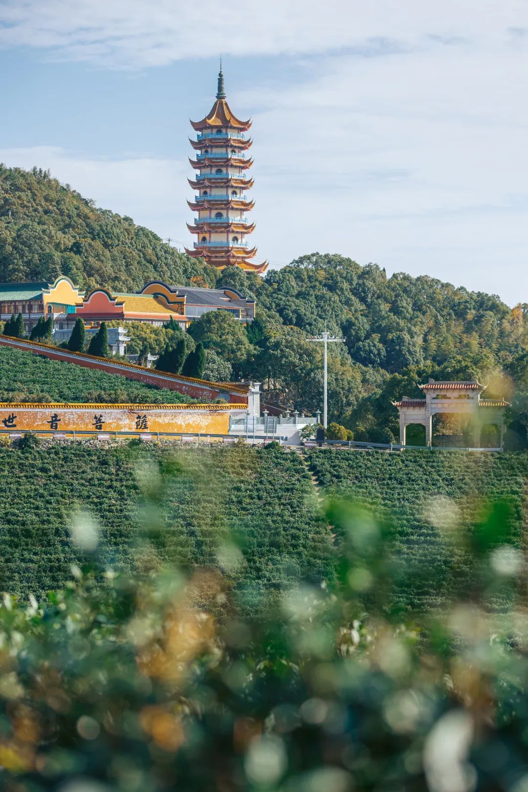 不负春光 仙游岱山 