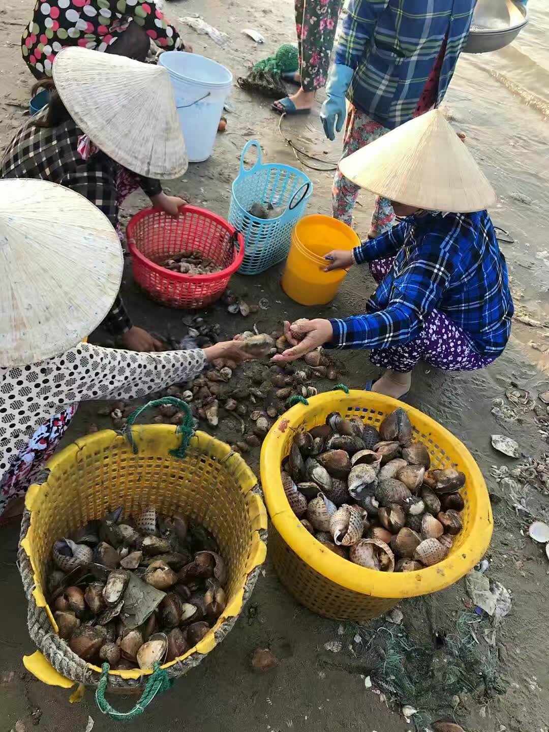 東南亞自助遊攻略