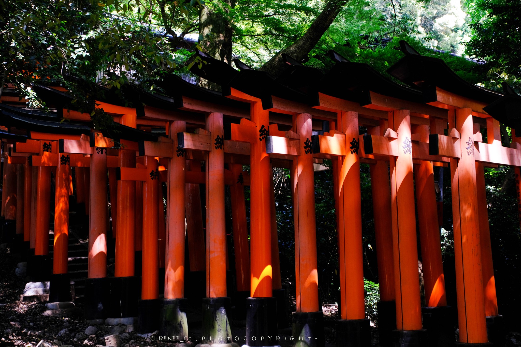 京都自助遊攻略