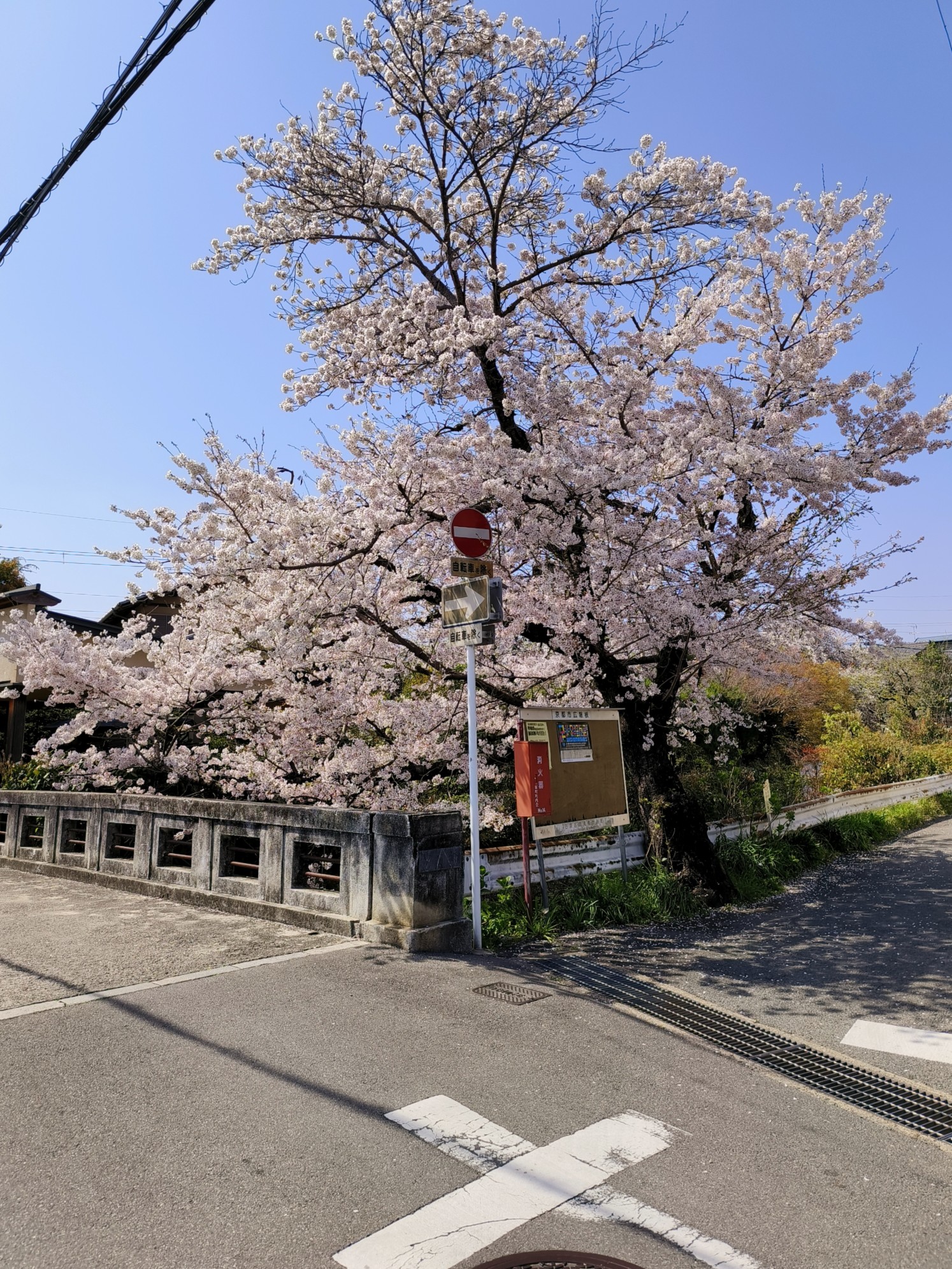 日本自助遊攻略