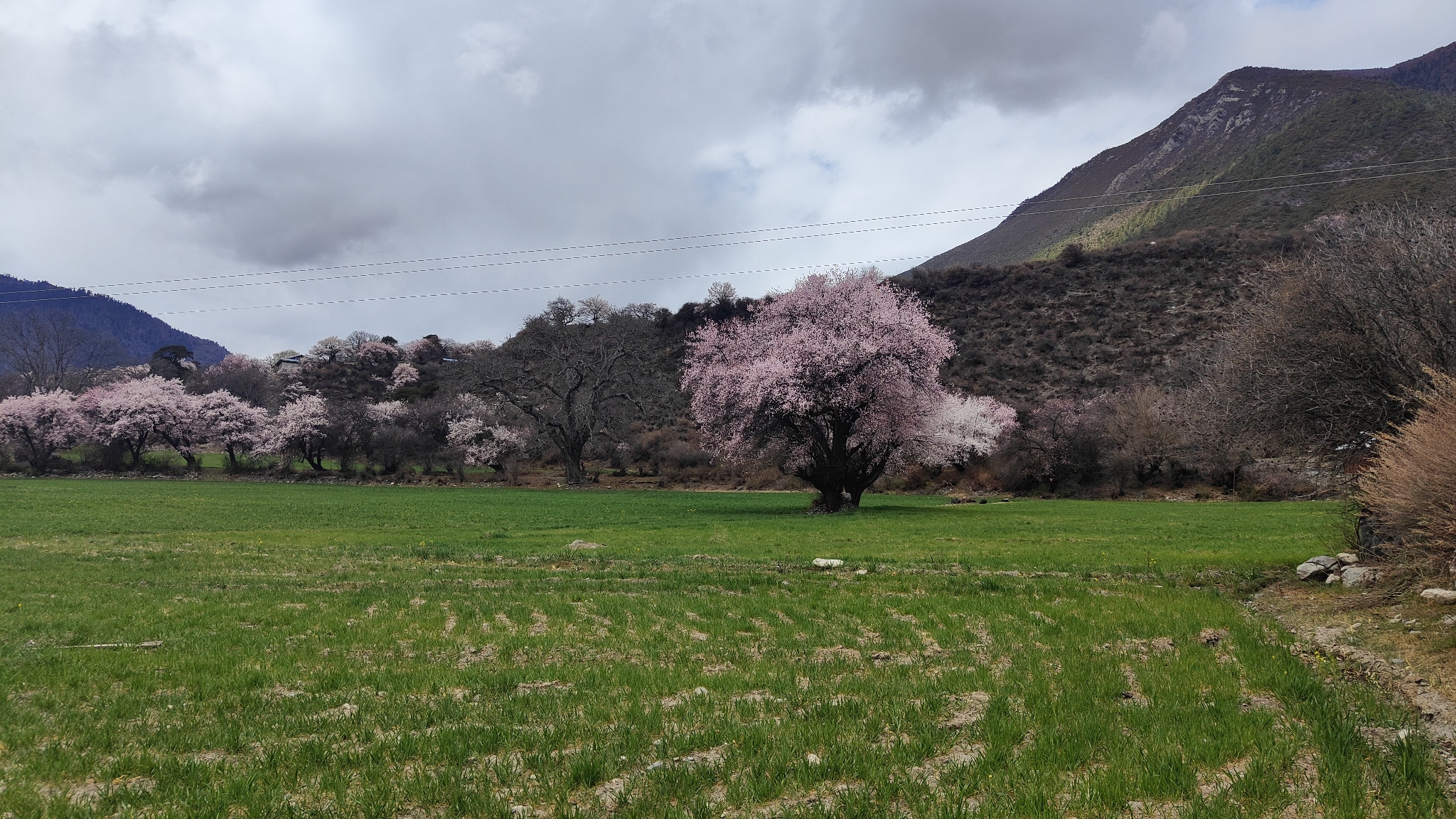 林芝自助遊攻略