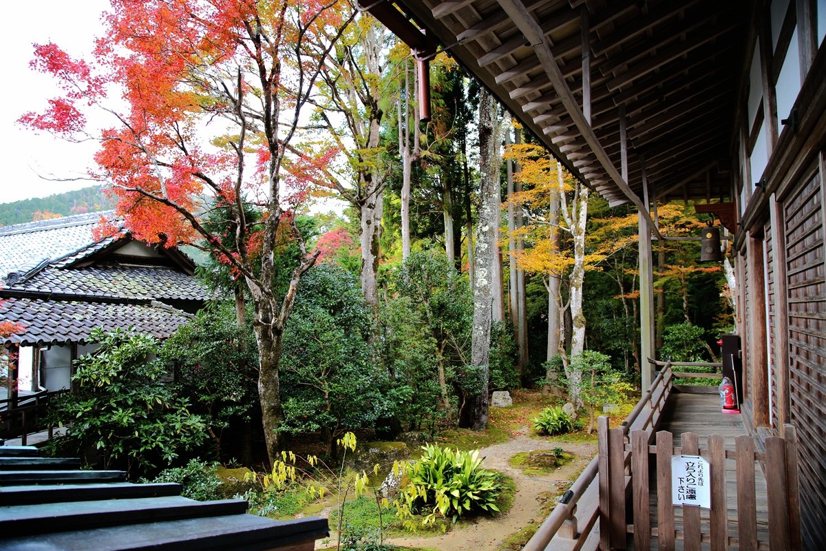 京都自助遊攻略