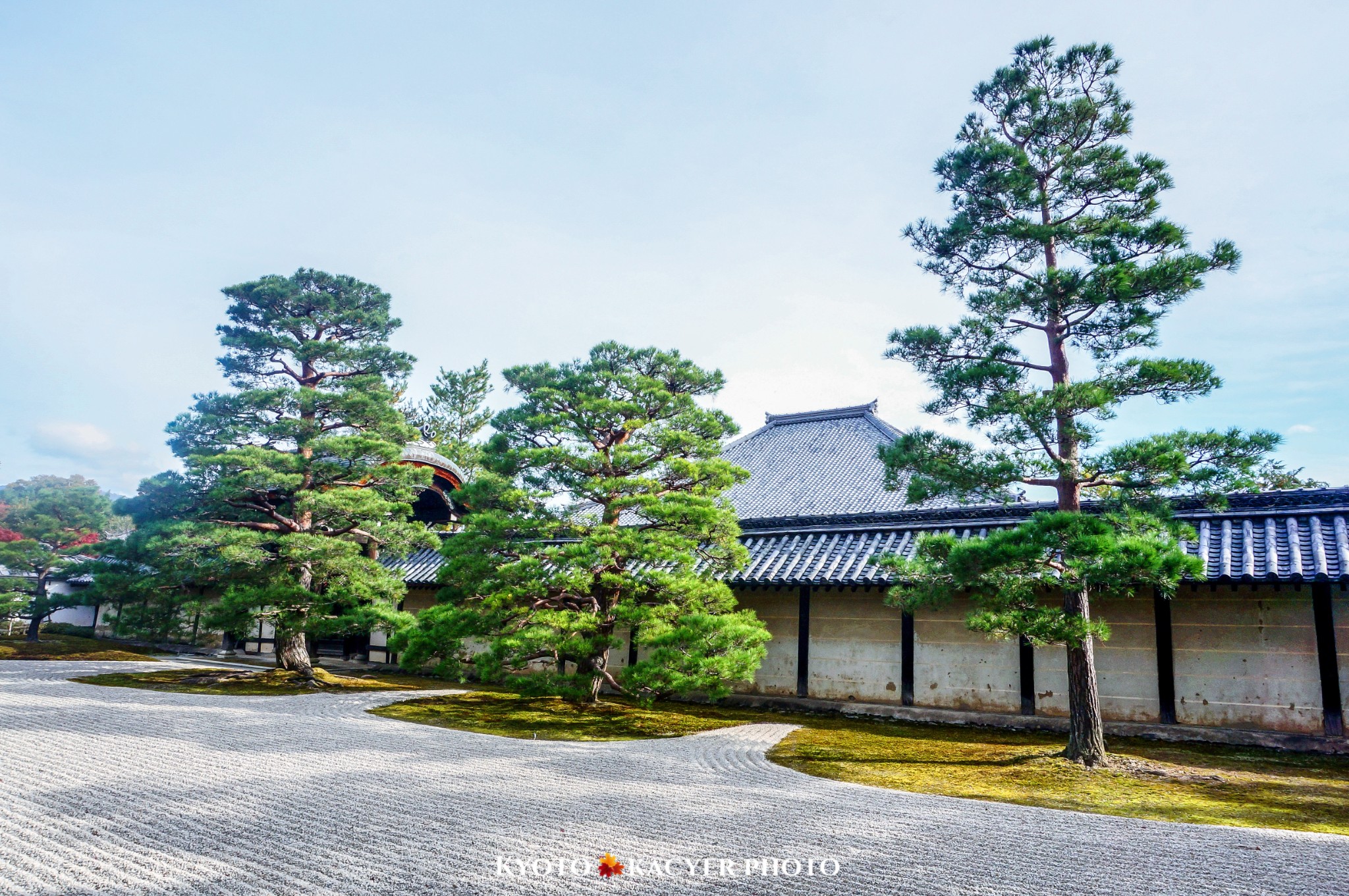 京都自助遊攻略