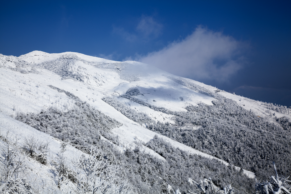 巴山大峡谷|这份冬日游玩攻略请查收～,内华达州旅游攻略 - 马蜂窝