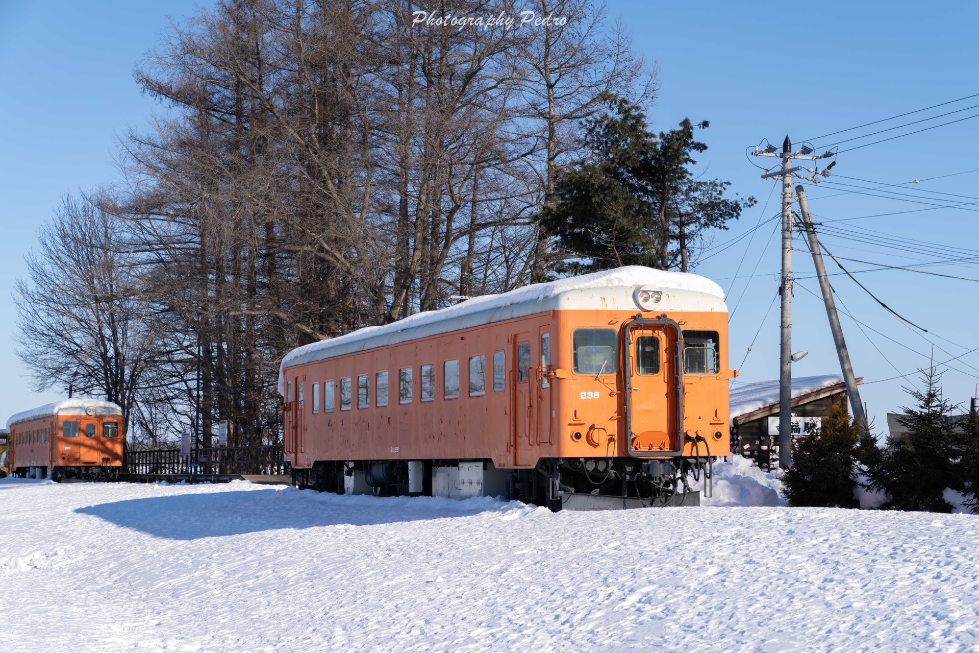 北海道自助遊攻略