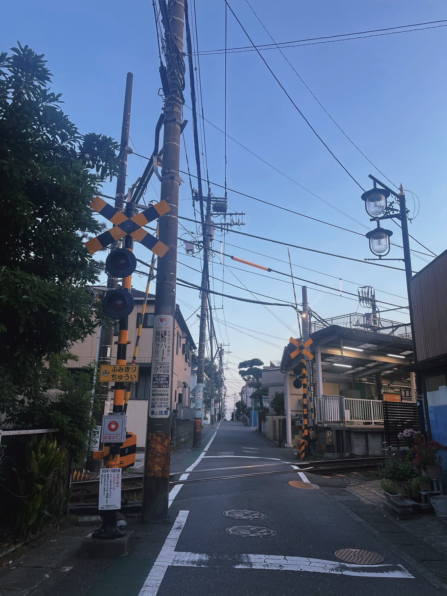 東京自助遊攻略