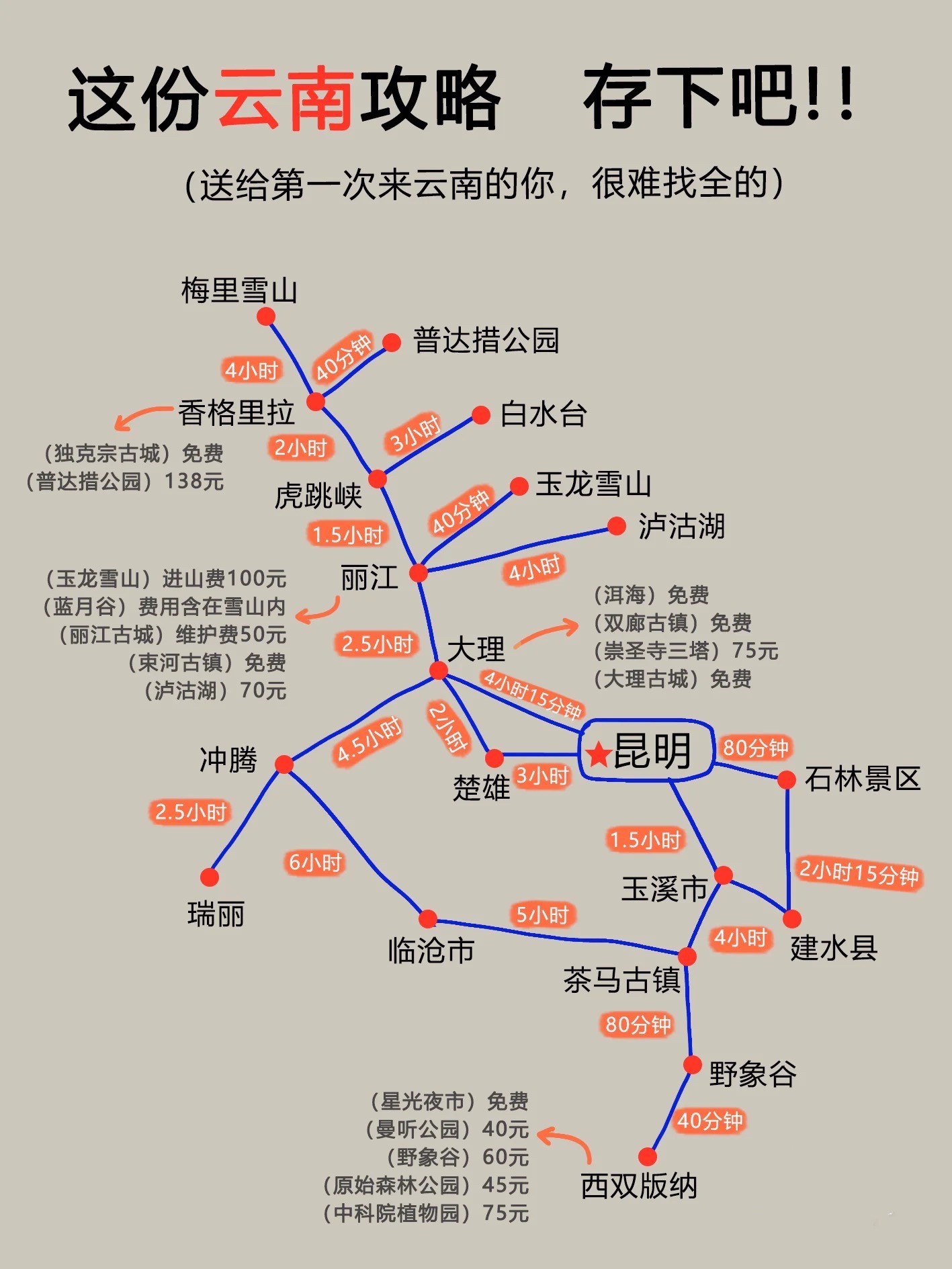 云南昆大丽