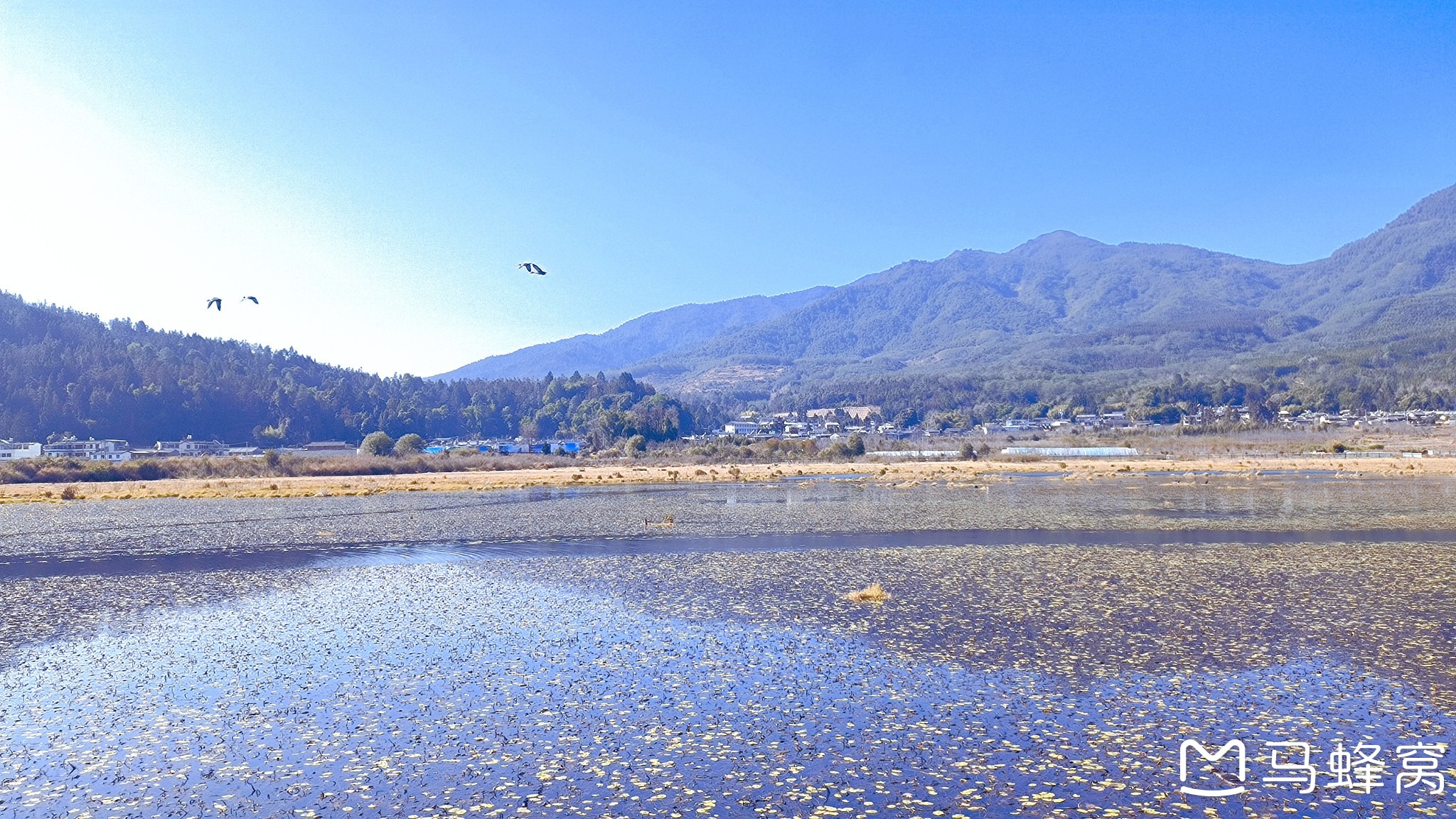 雲南自助遊攻略