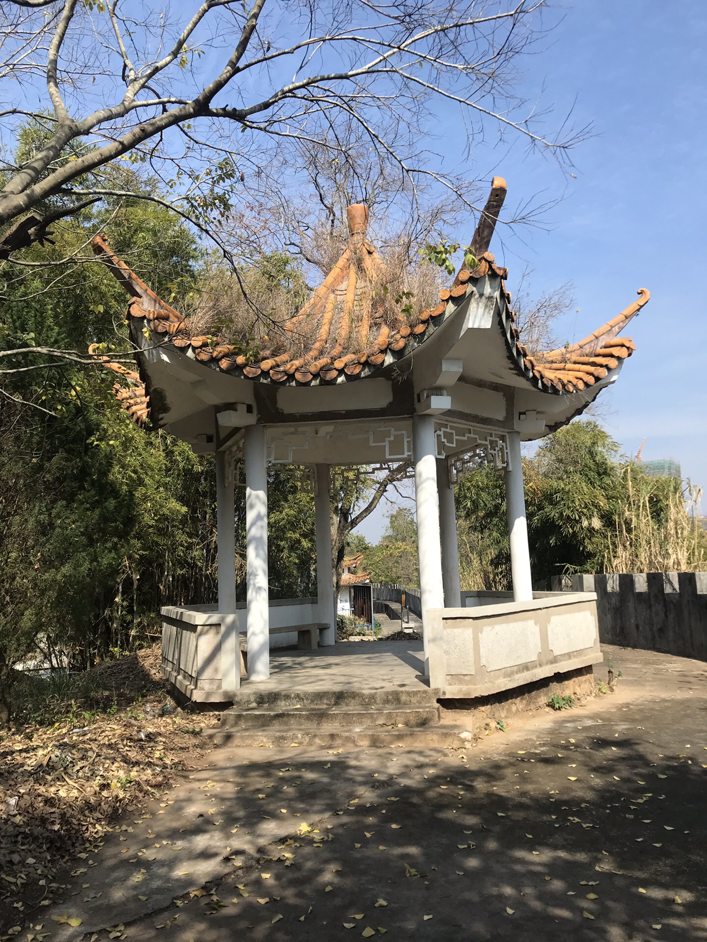 南山圣寿寺,英德自助游攻略 - 马蜂窝