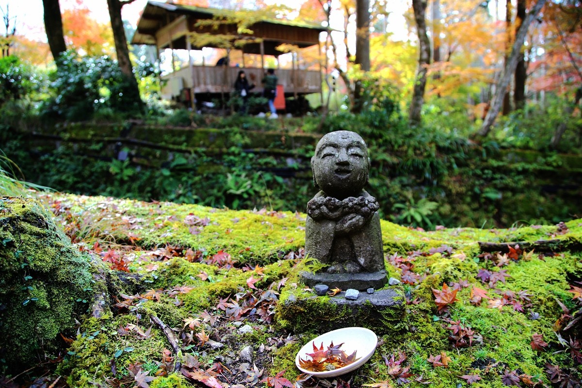 京都自助遊攻略