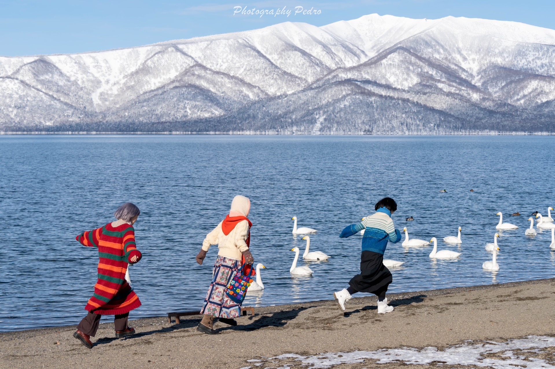 北海道自助遊攻略