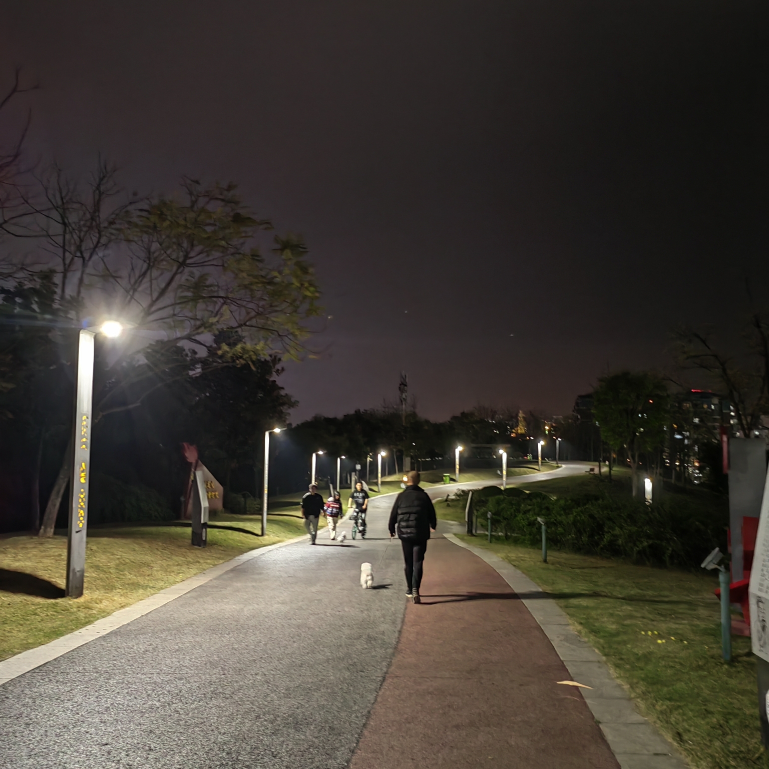 简阳鳌山公园夜景图片