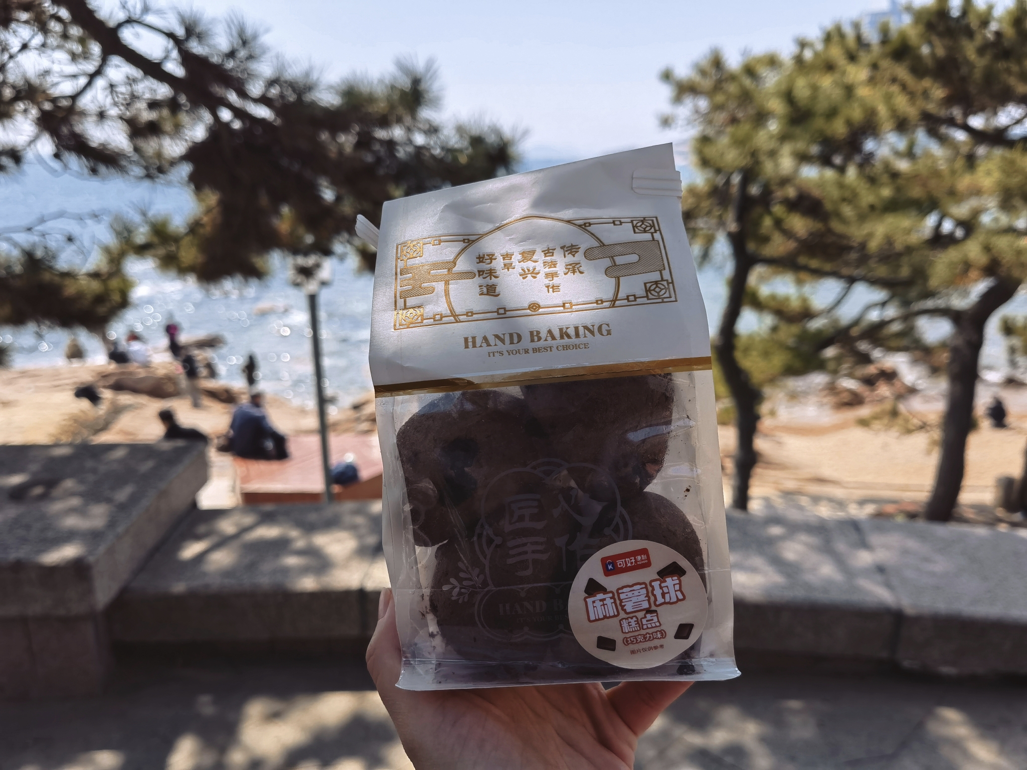 【青岛春日暴走日志】四天三夜：💨吹成海带的我们，与樱花撞个满怀🌸插图236