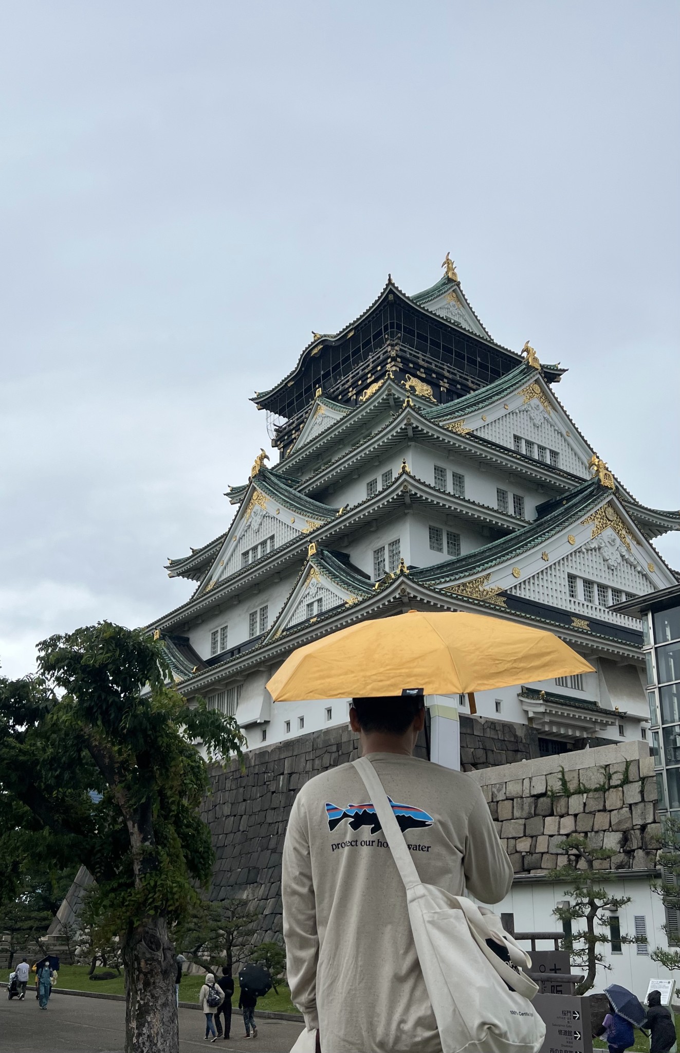 京都自助遊攻略