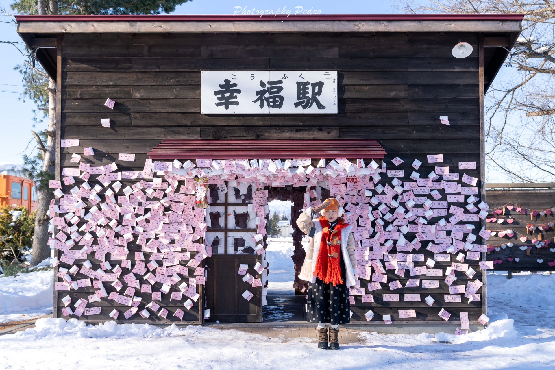 北海道自助遊攻略