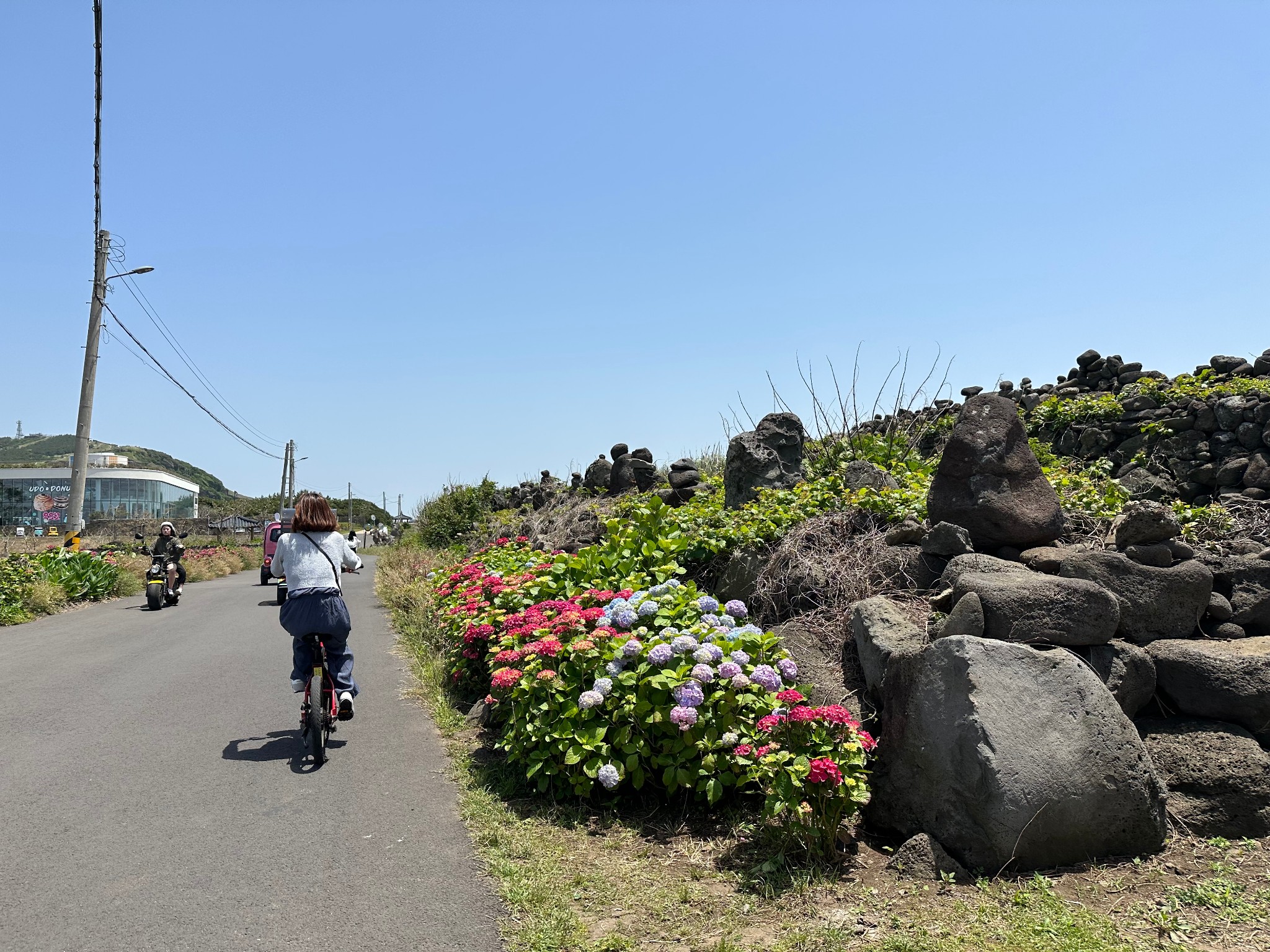 濟州島自助遊攻略