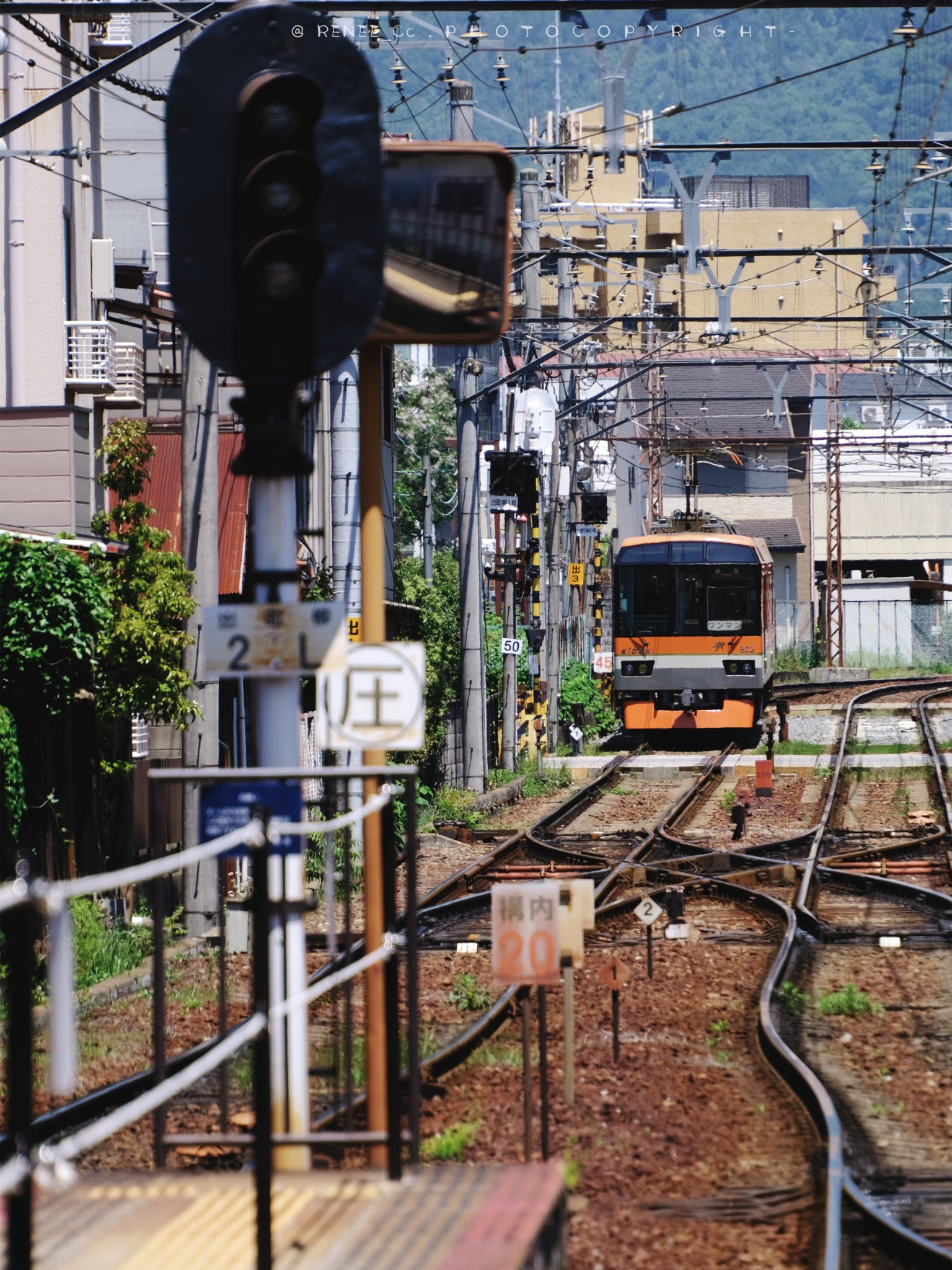 京都自助遊攻略