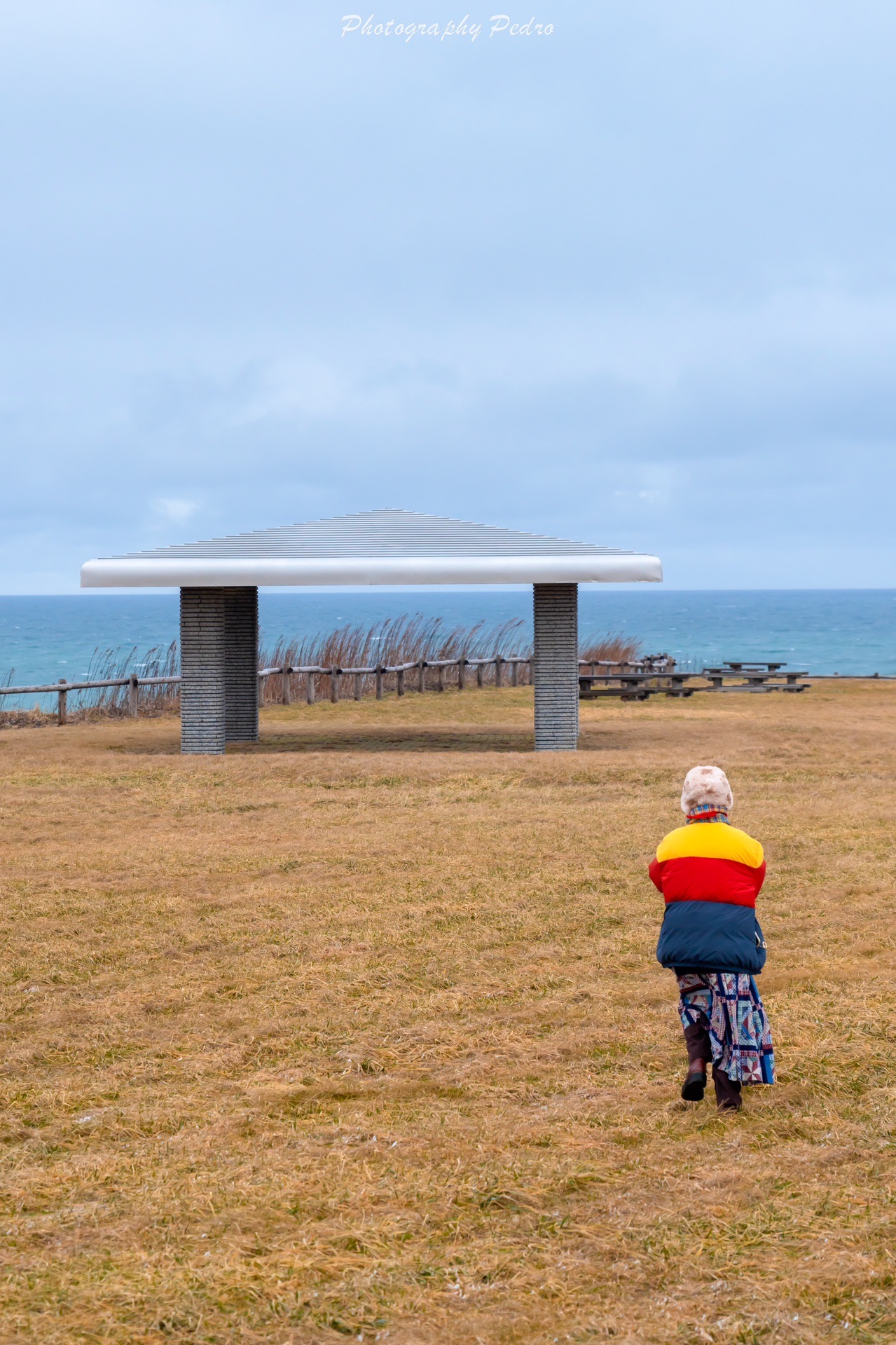 北海道自助遊攻略