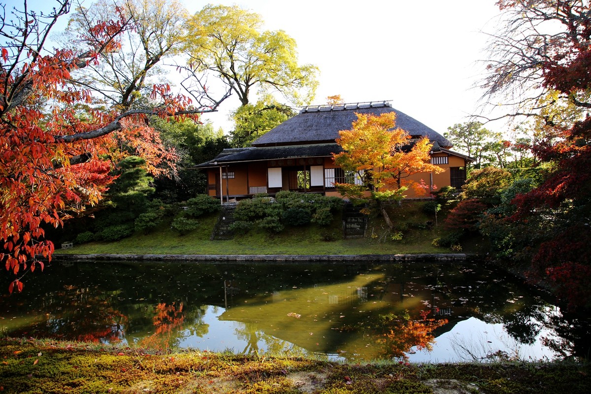 京都自助遊攻略