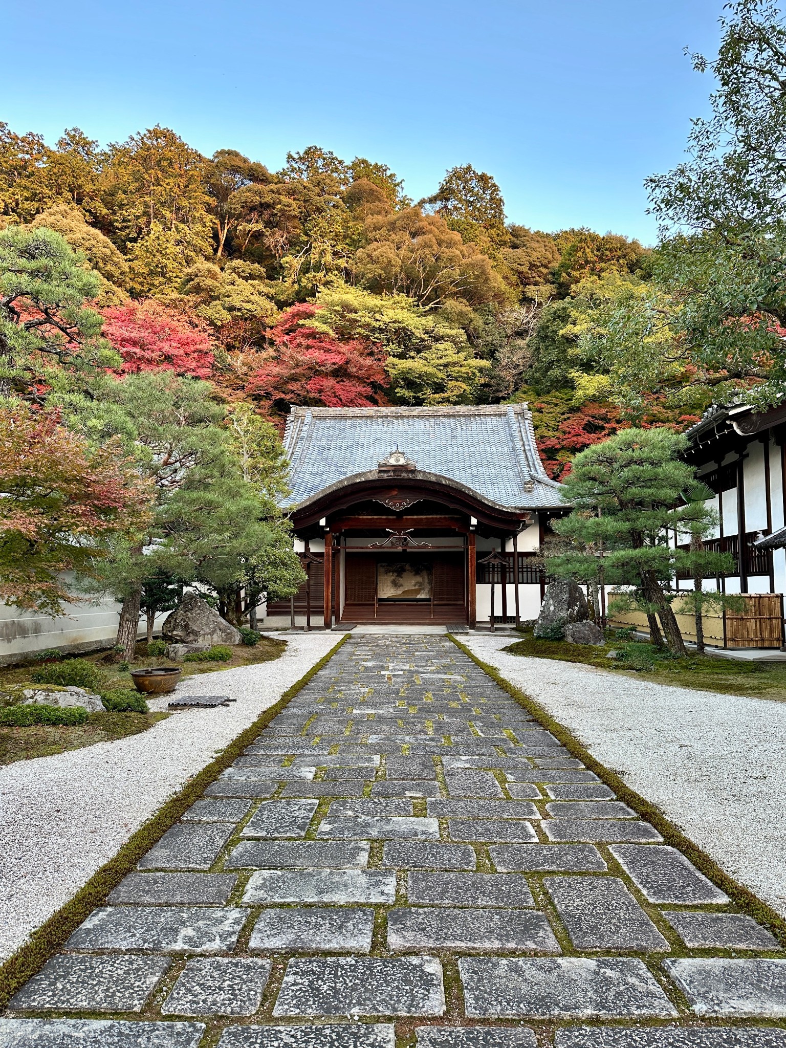 日本自助遊攻略