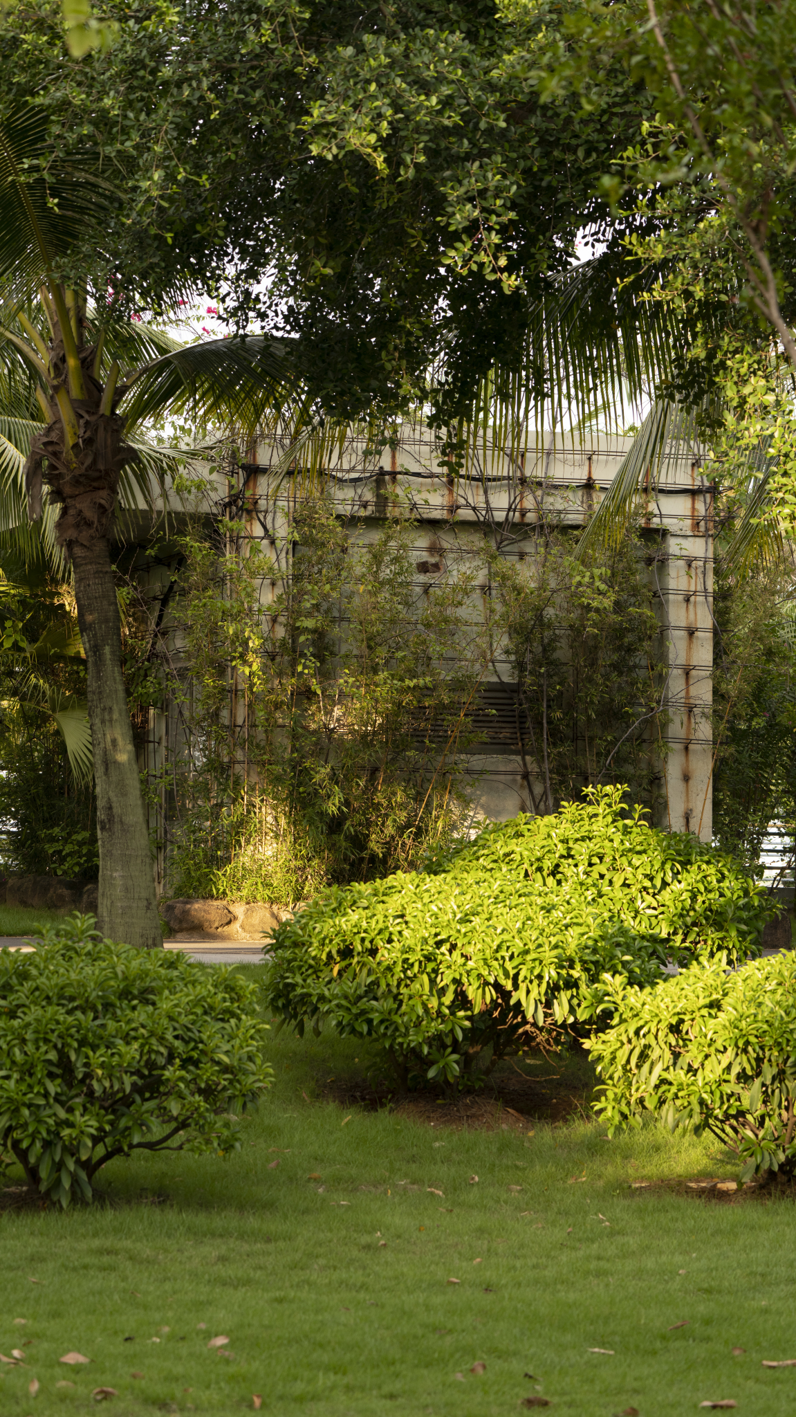 湛江市霞山区公园