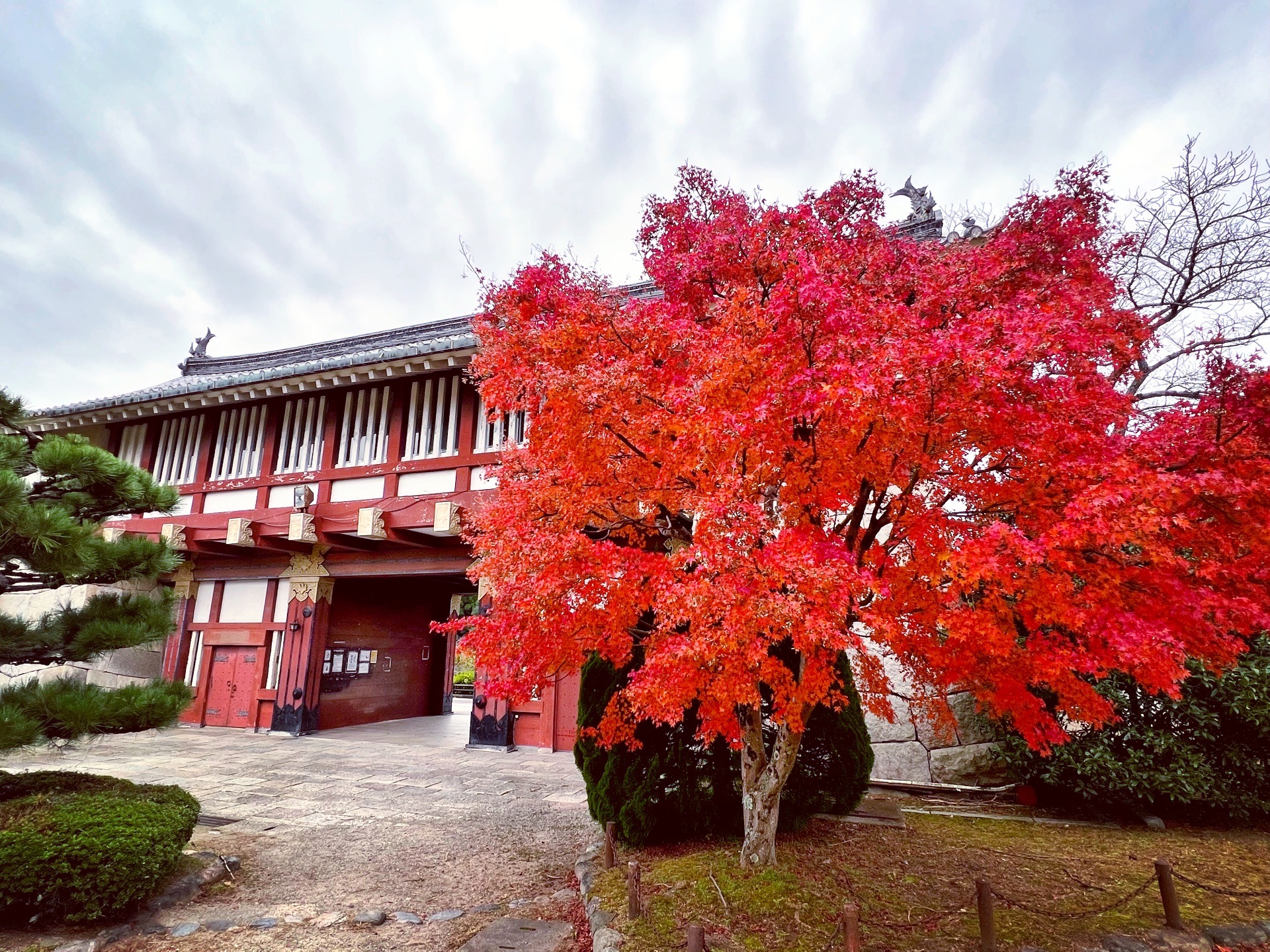 京都自助遊攻略