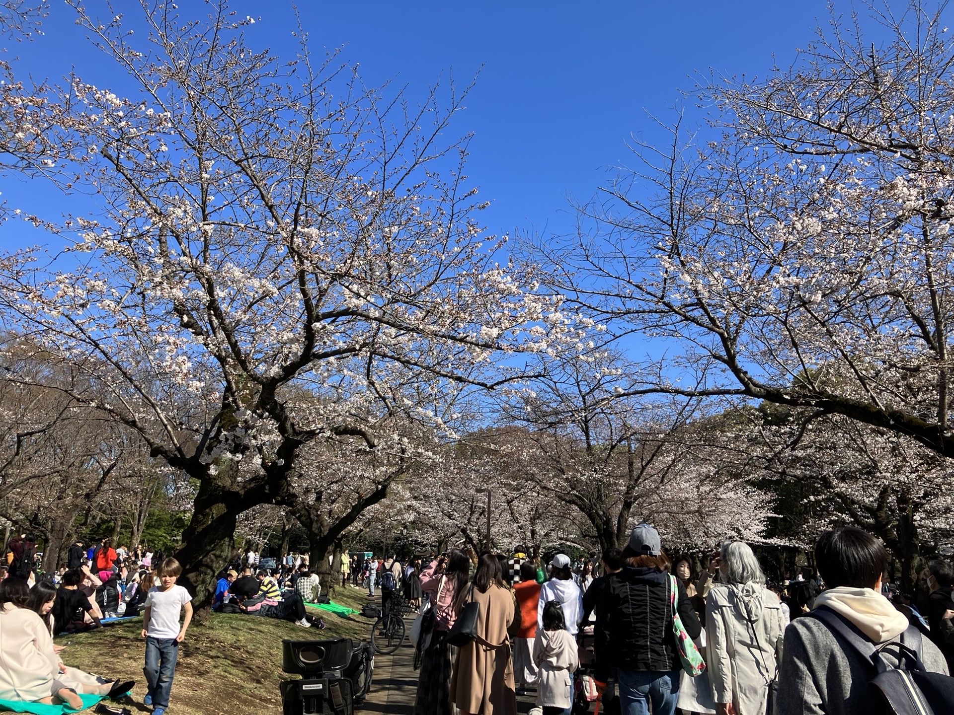 東京自助遊攻略