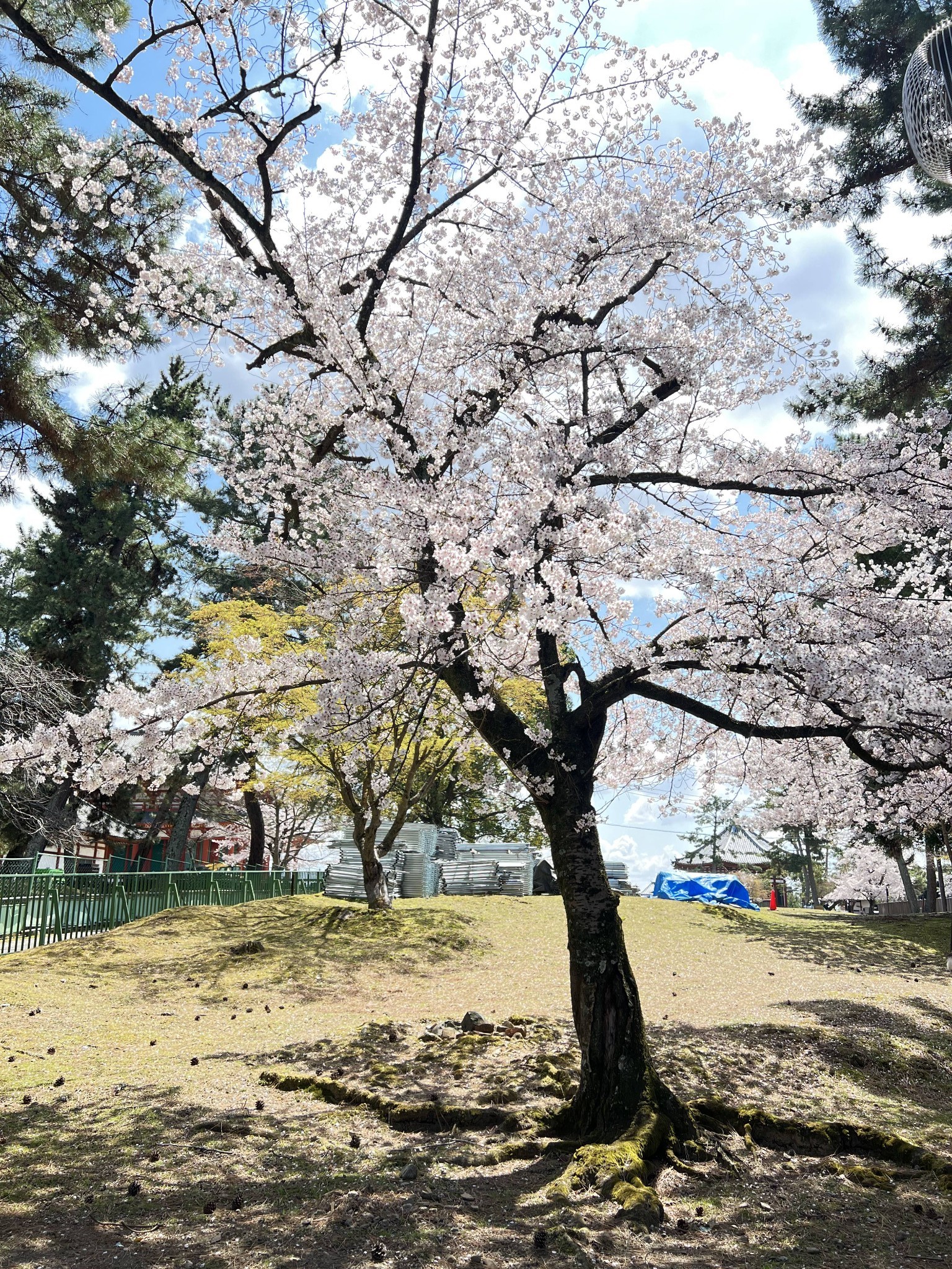 大阪自助遊攻略