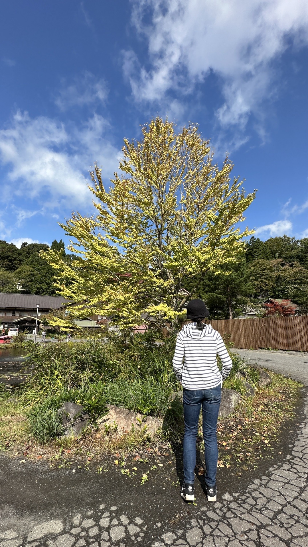 青森縣自助遊攻略