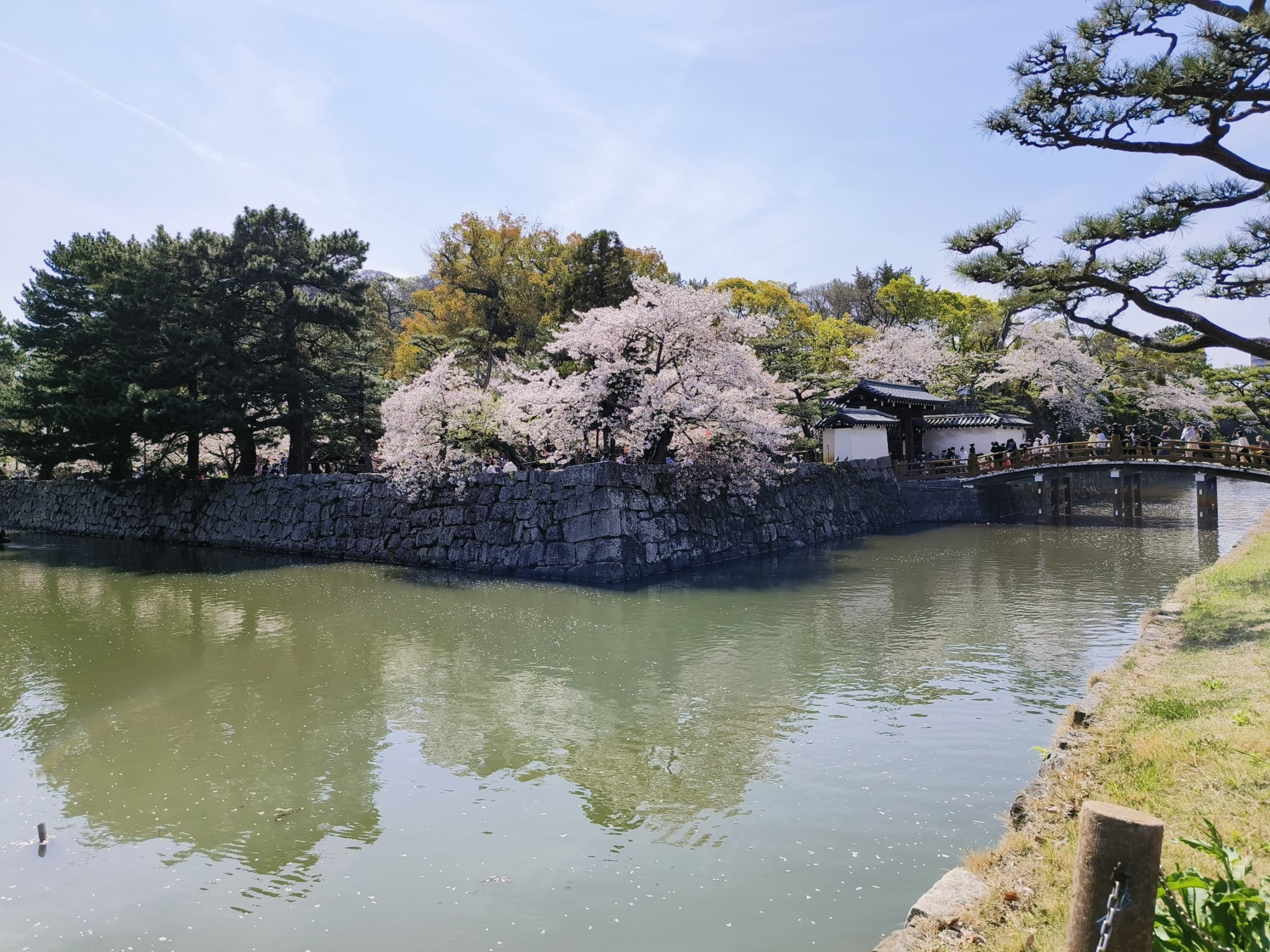 日本自助遊攻略