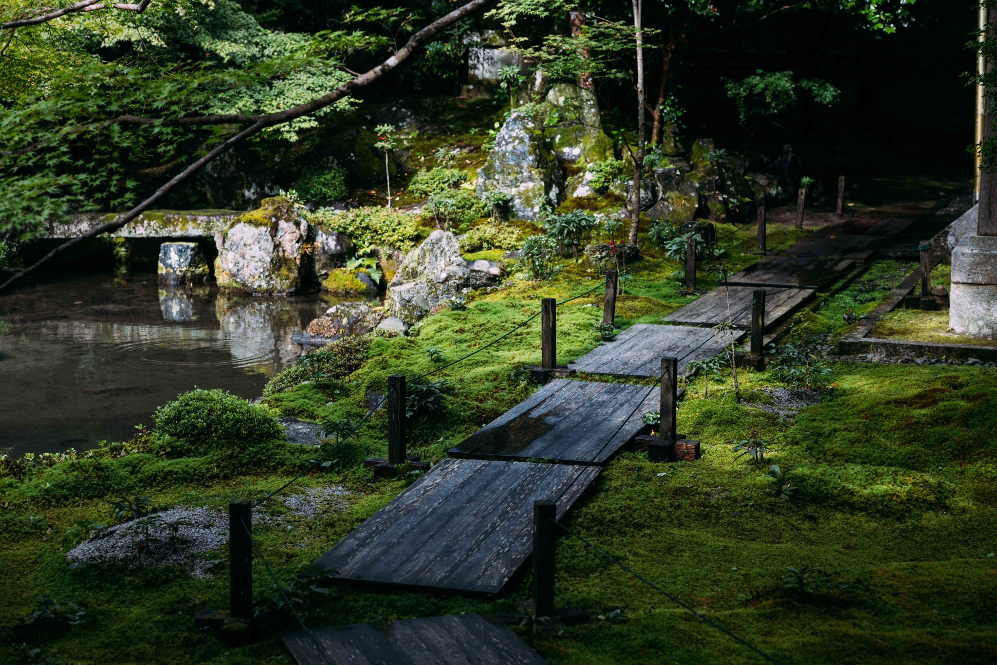 京都自助遊攻略