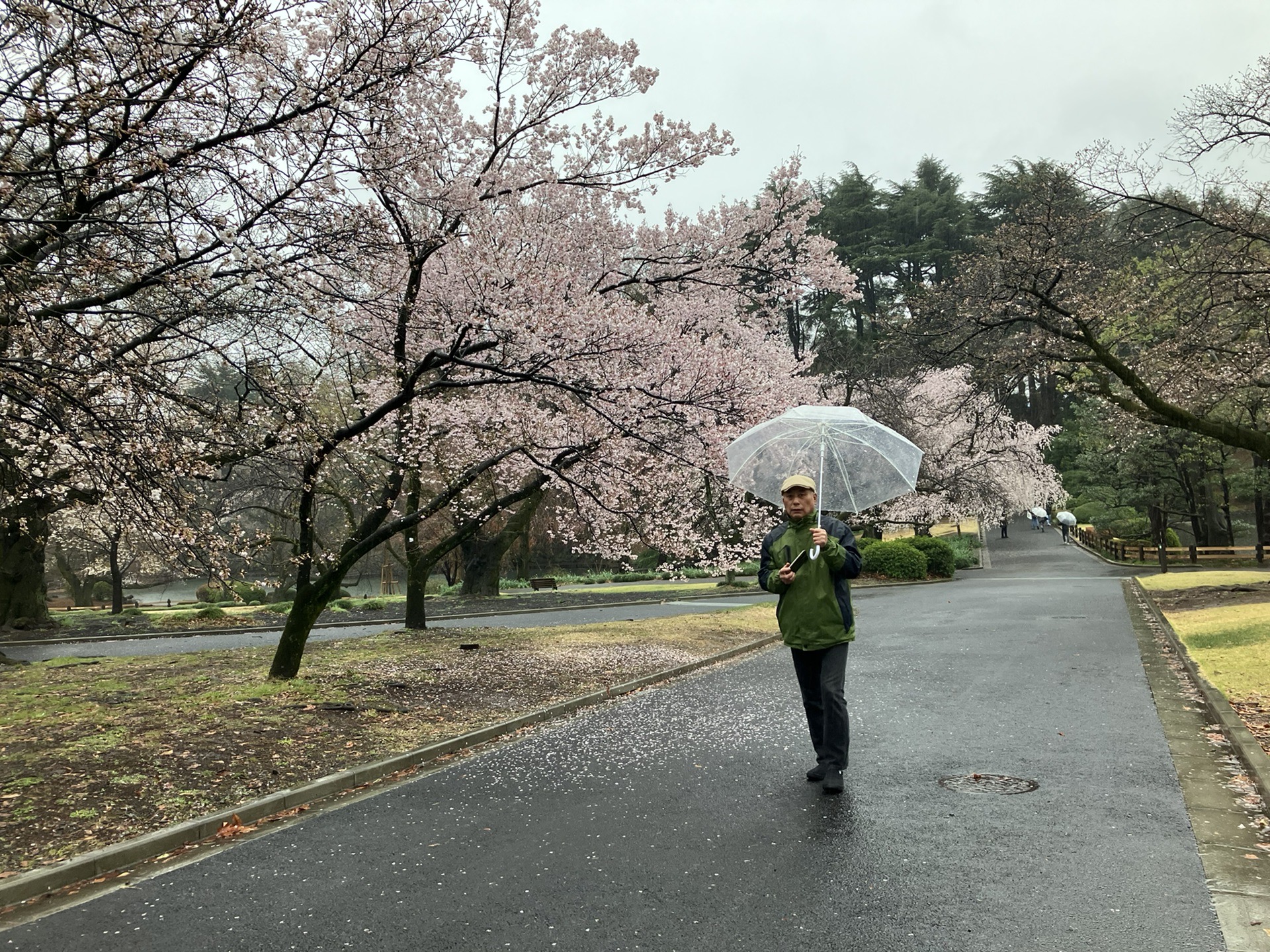 東京自助遊攻略