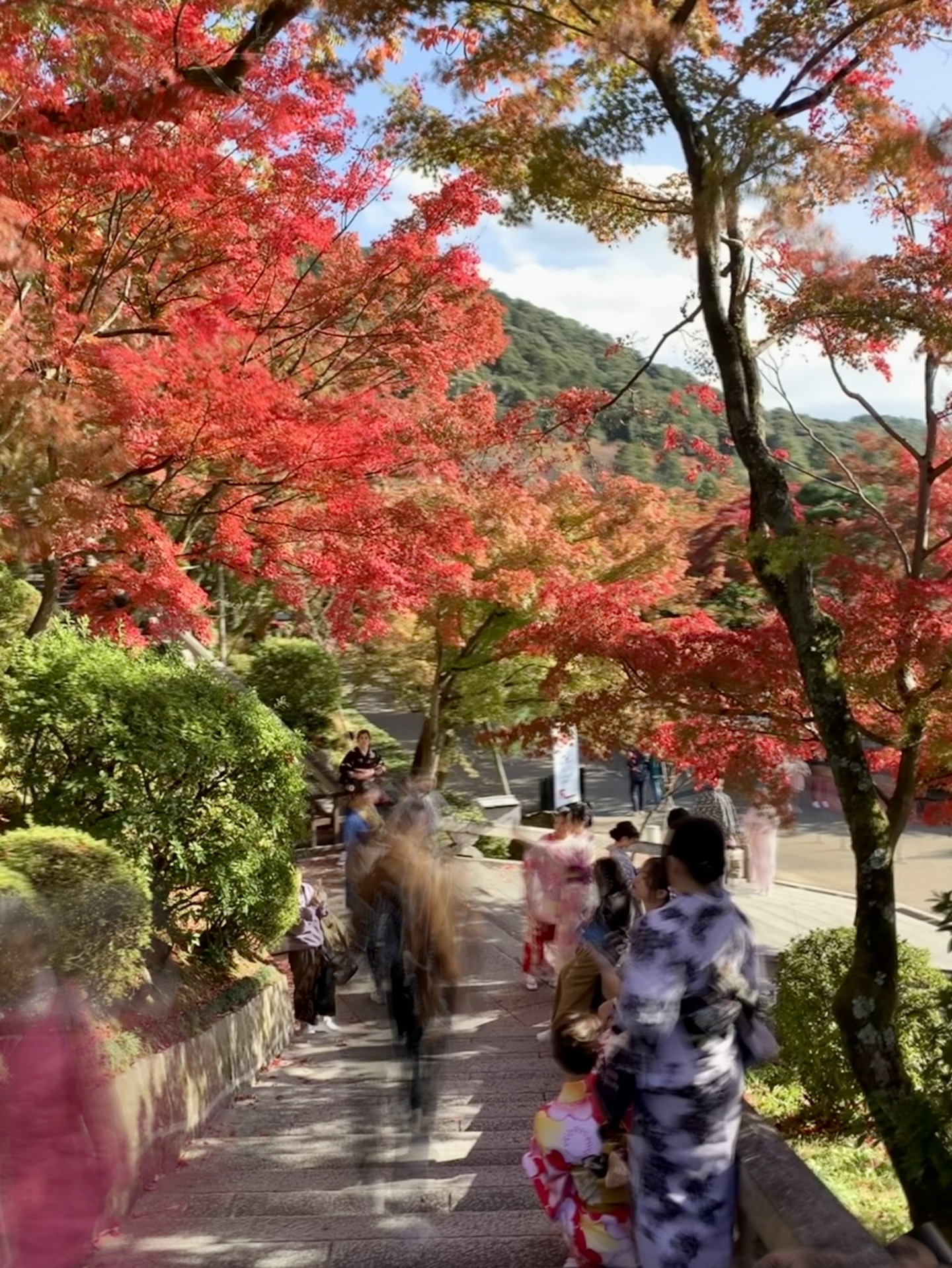 京都自助遊攻略