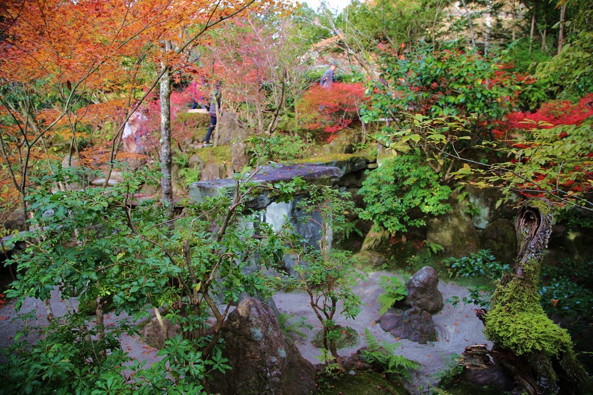 京都自助遊攻略