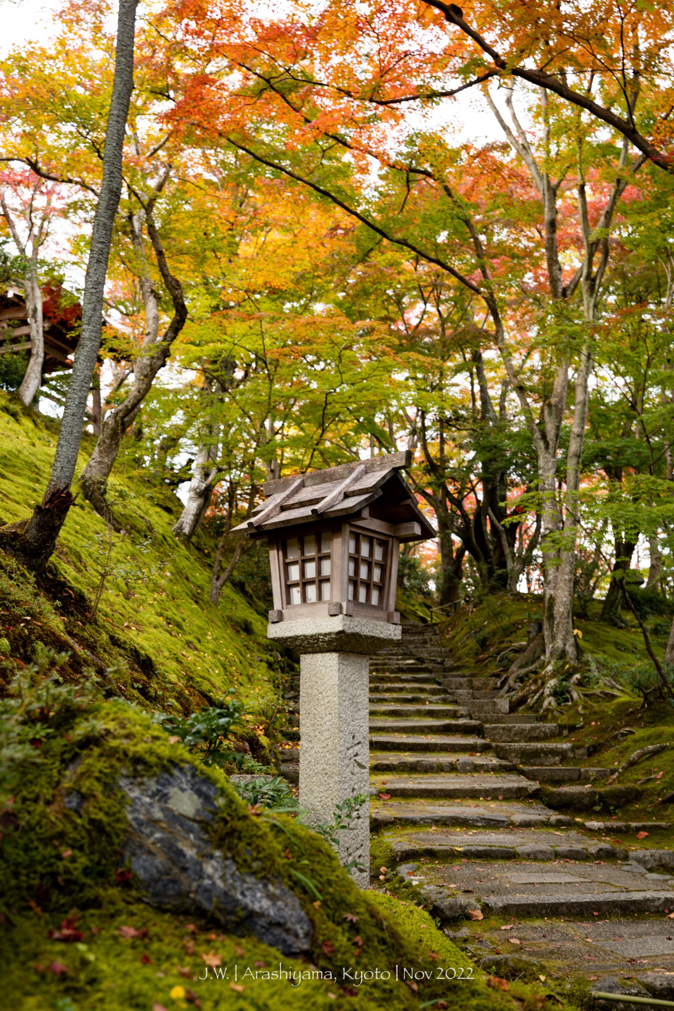 京都自助遊攻略