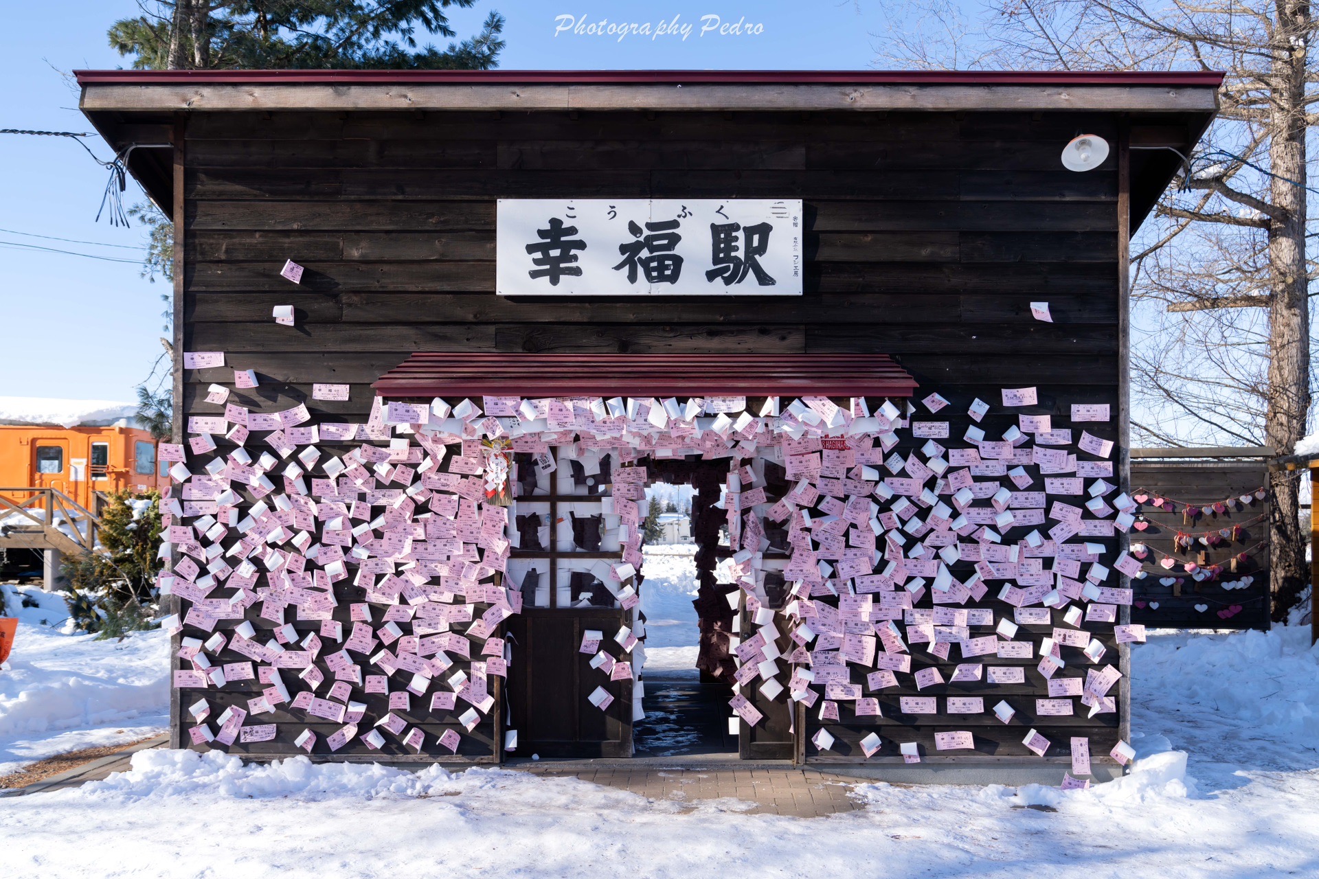 北海道自助遊攻略