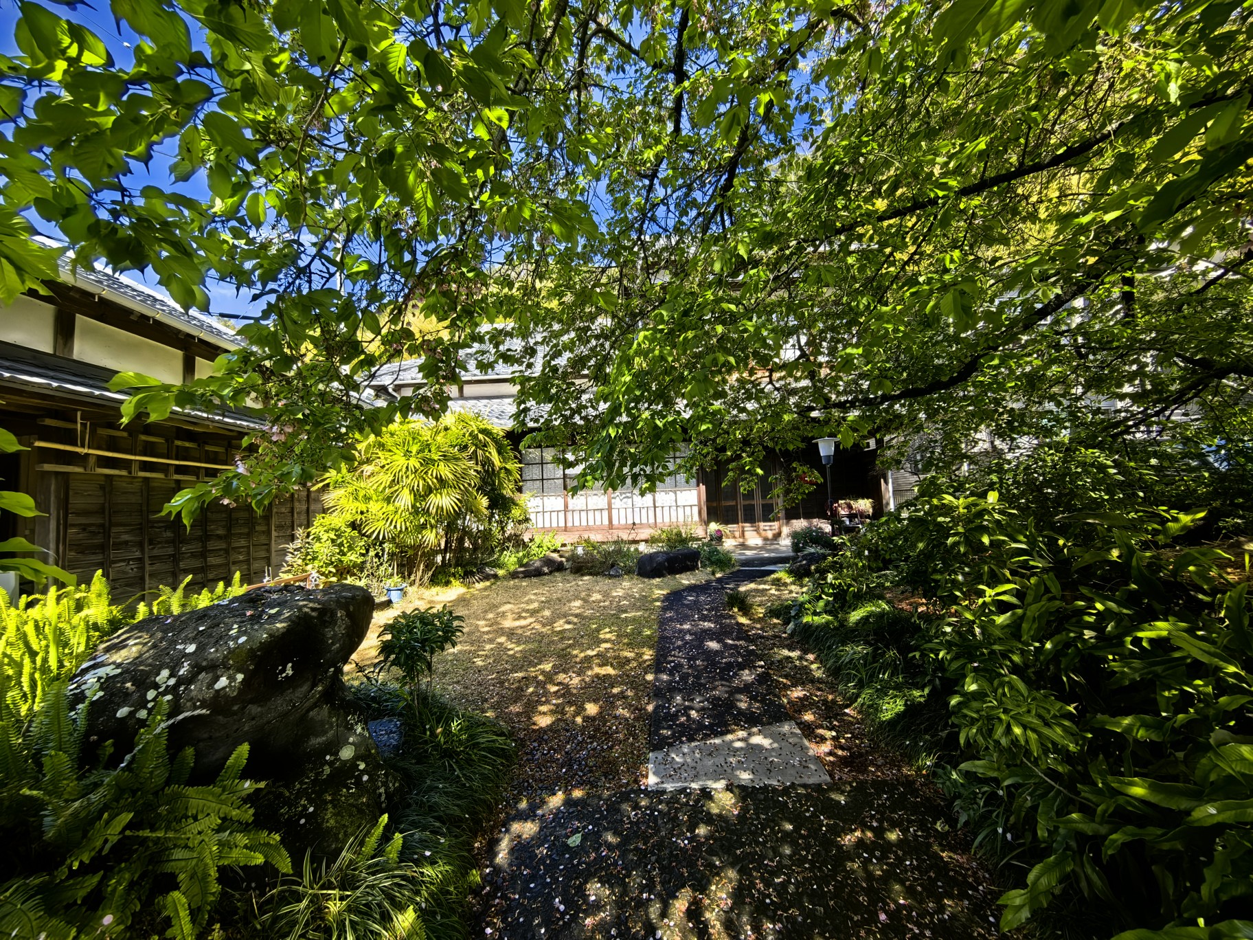 9刷日本①東京掠影→伊豆半島流淌的漫時光·河津