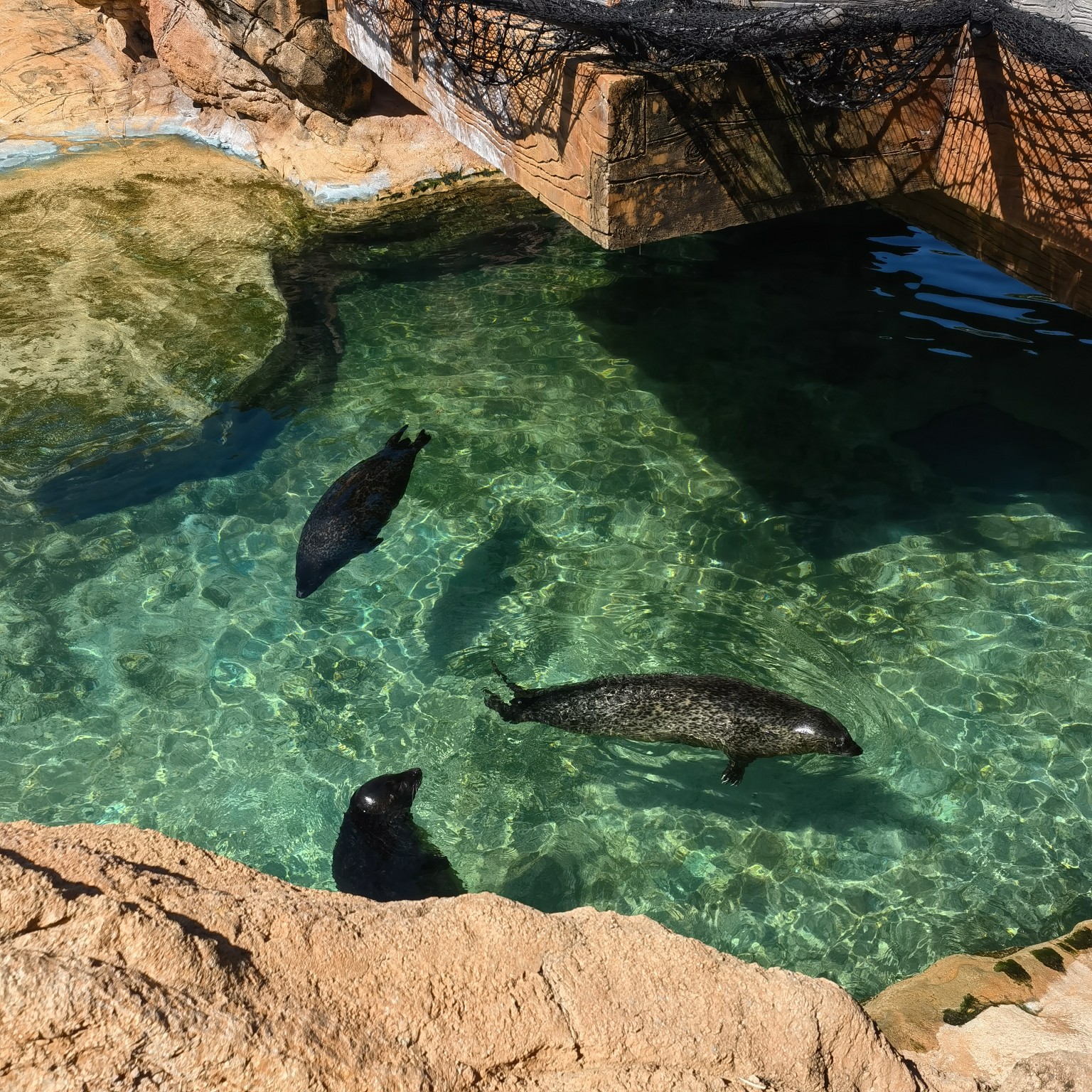 day2 长隆海洋王国day1 沈阳-珠海整体行程人均费用/7000rmb人物/家庭