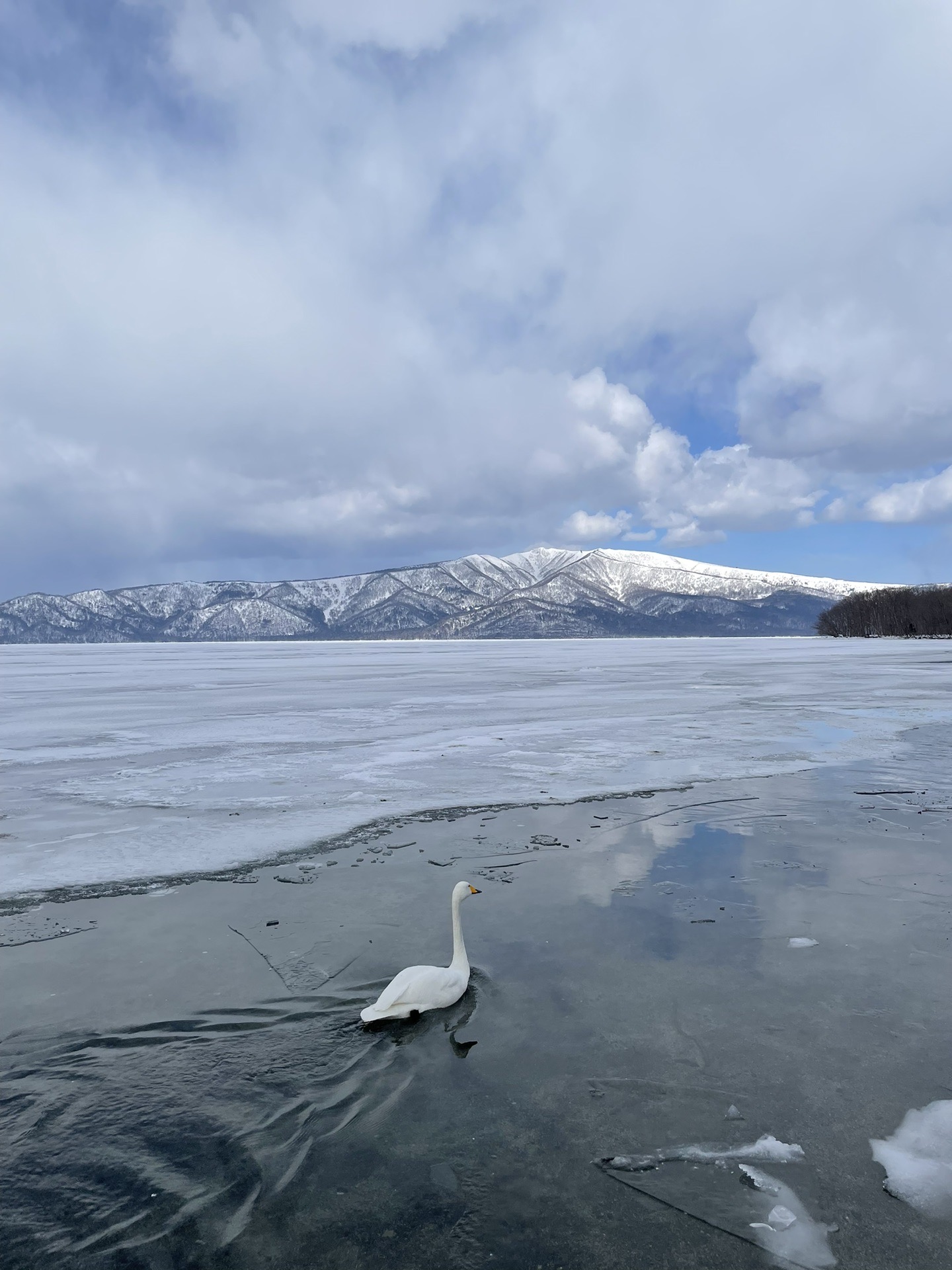 北海道自助遊攻略