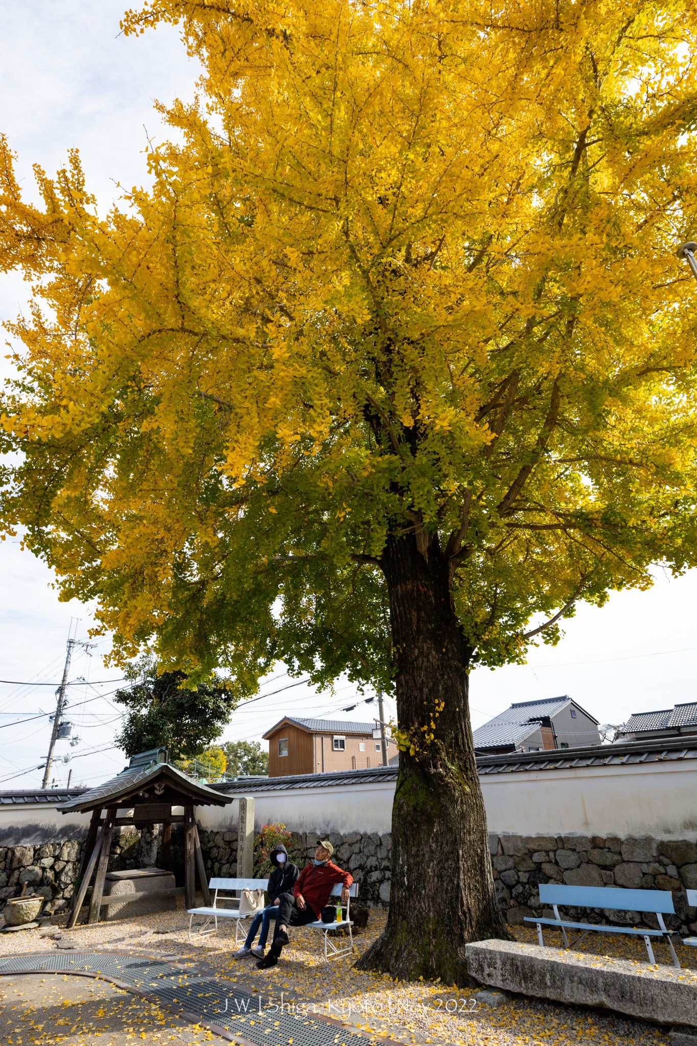 京都自助遊攻略