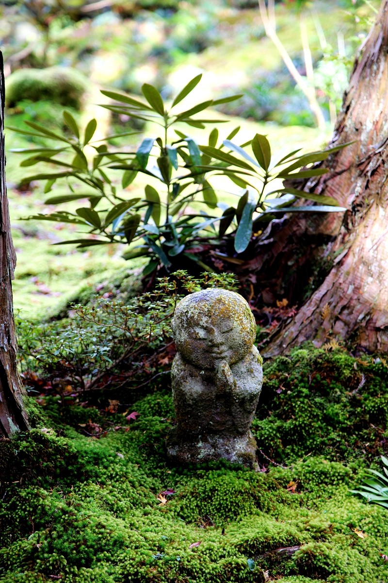 京都自助遊攻略